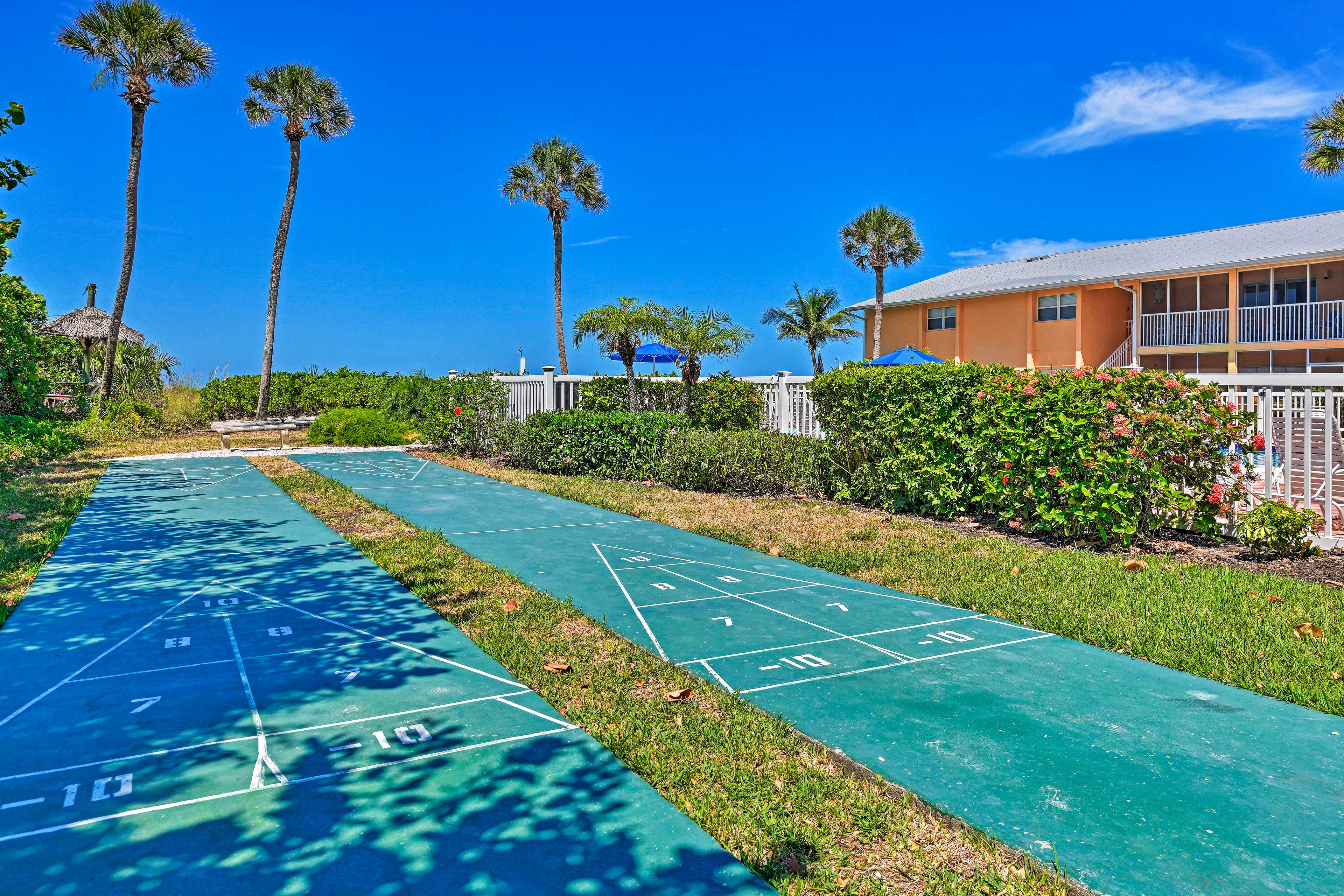 Shuffleboard Court