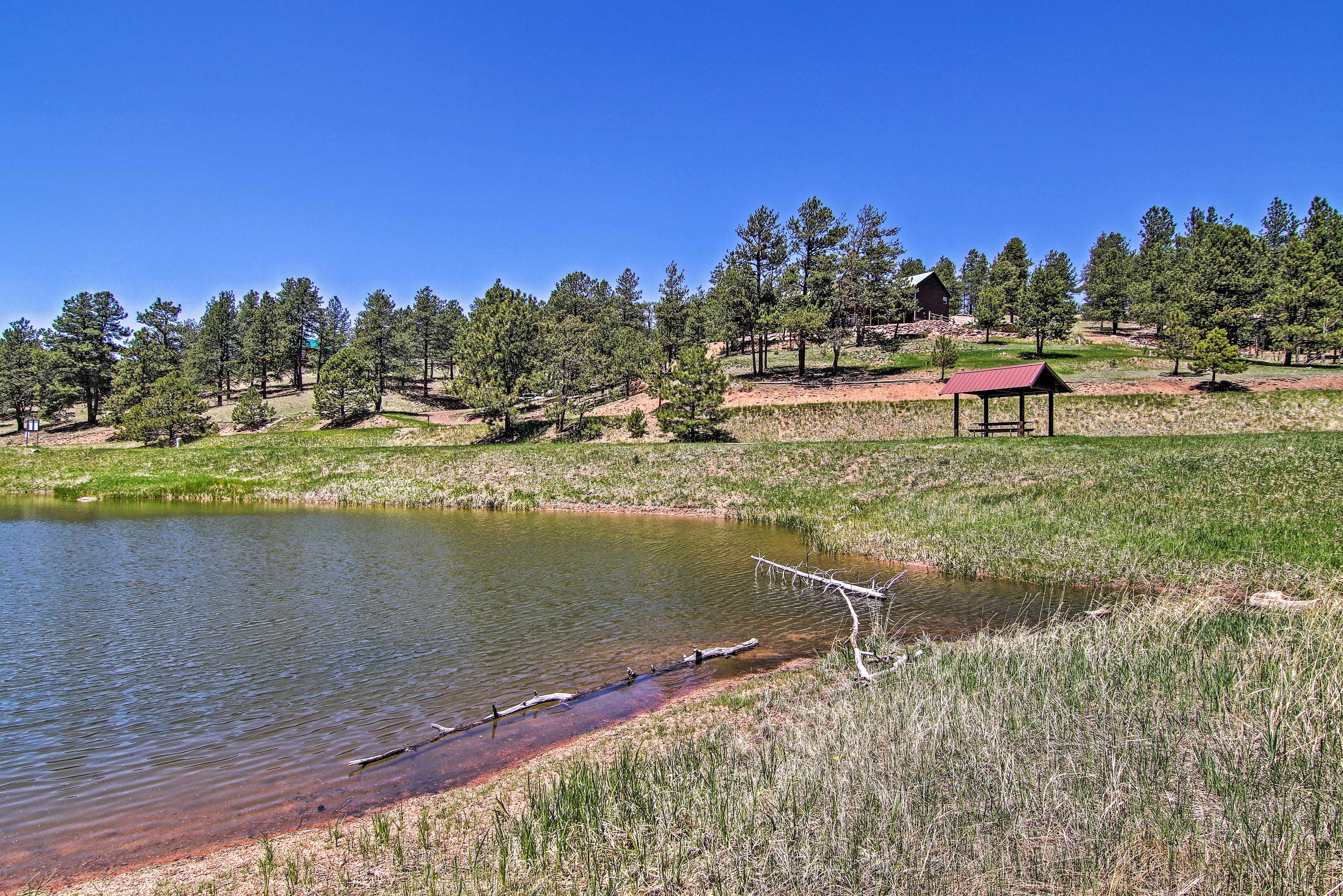 Fishing Pond