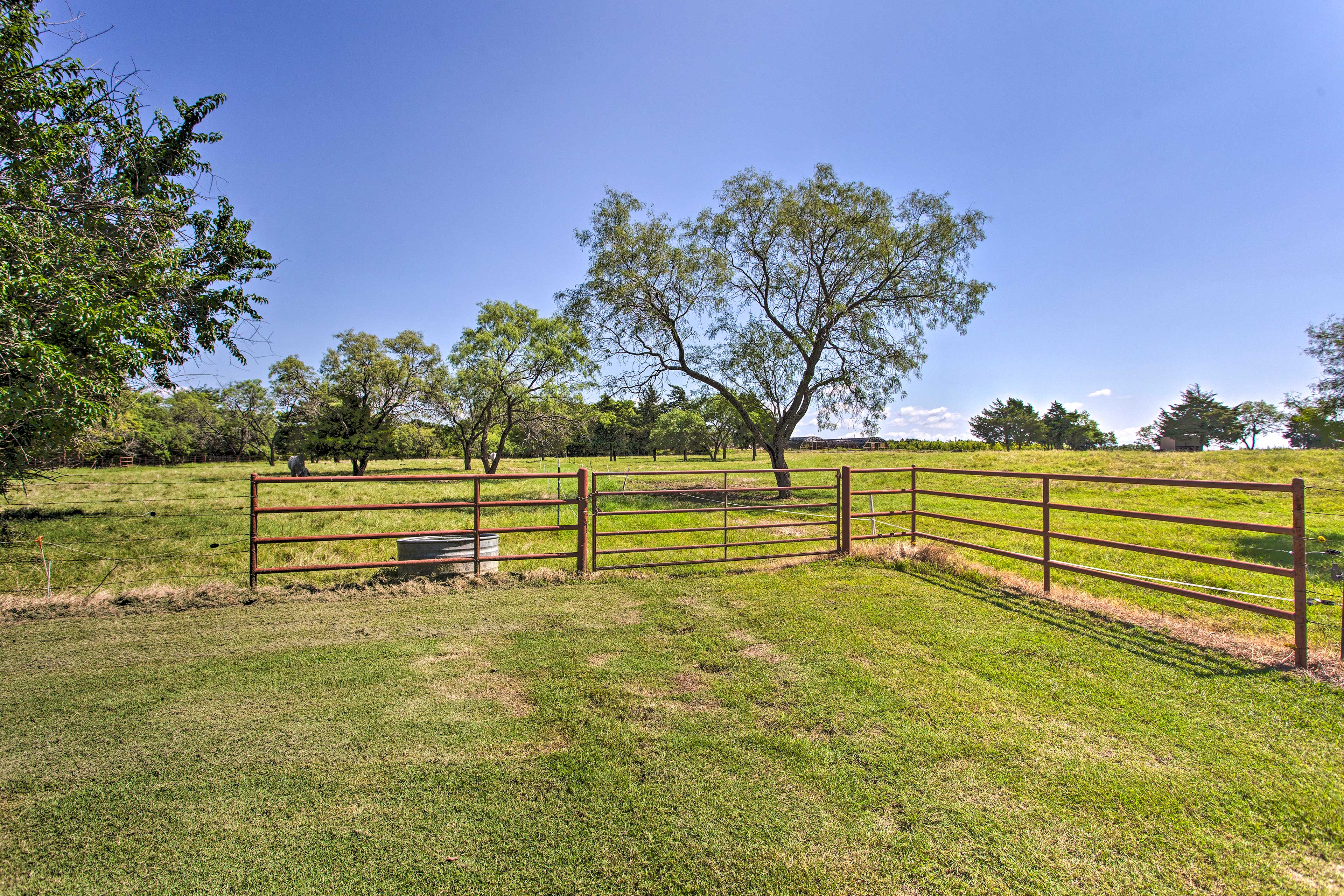 Horse/Cattle Ranch | 130 Acres