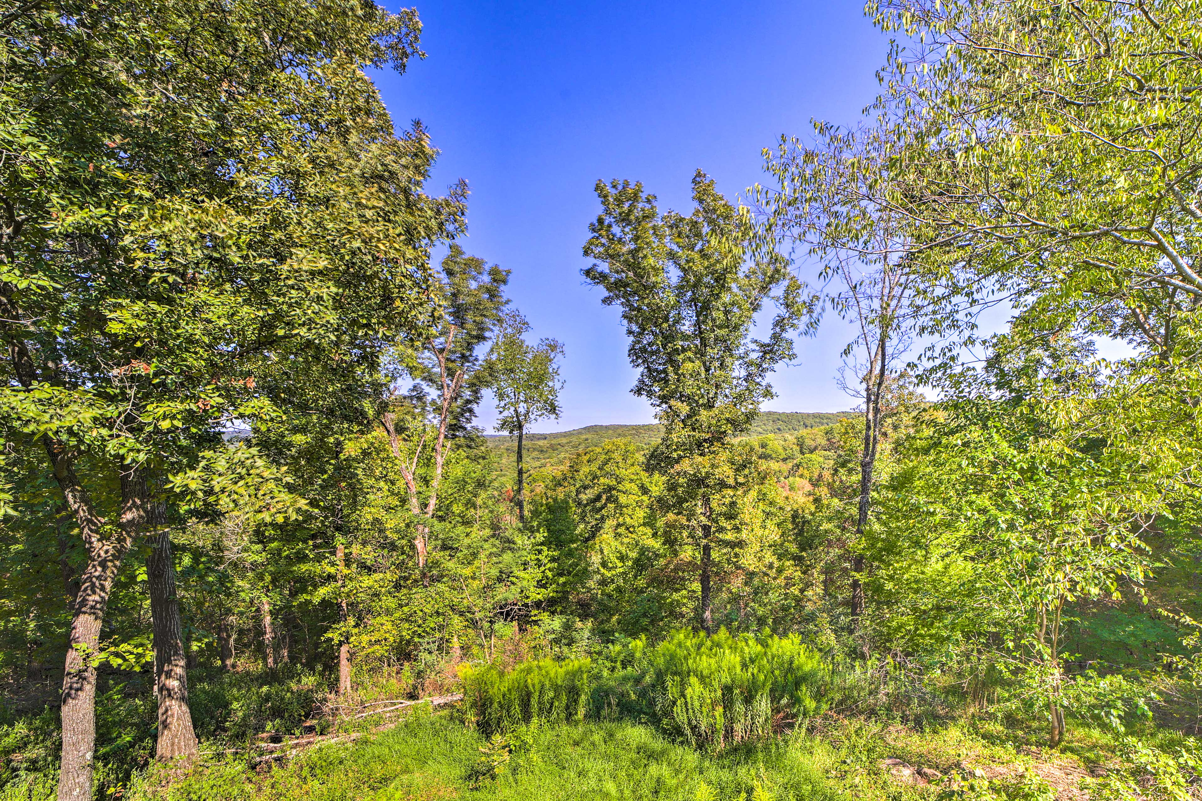 Yard | Mountain Views