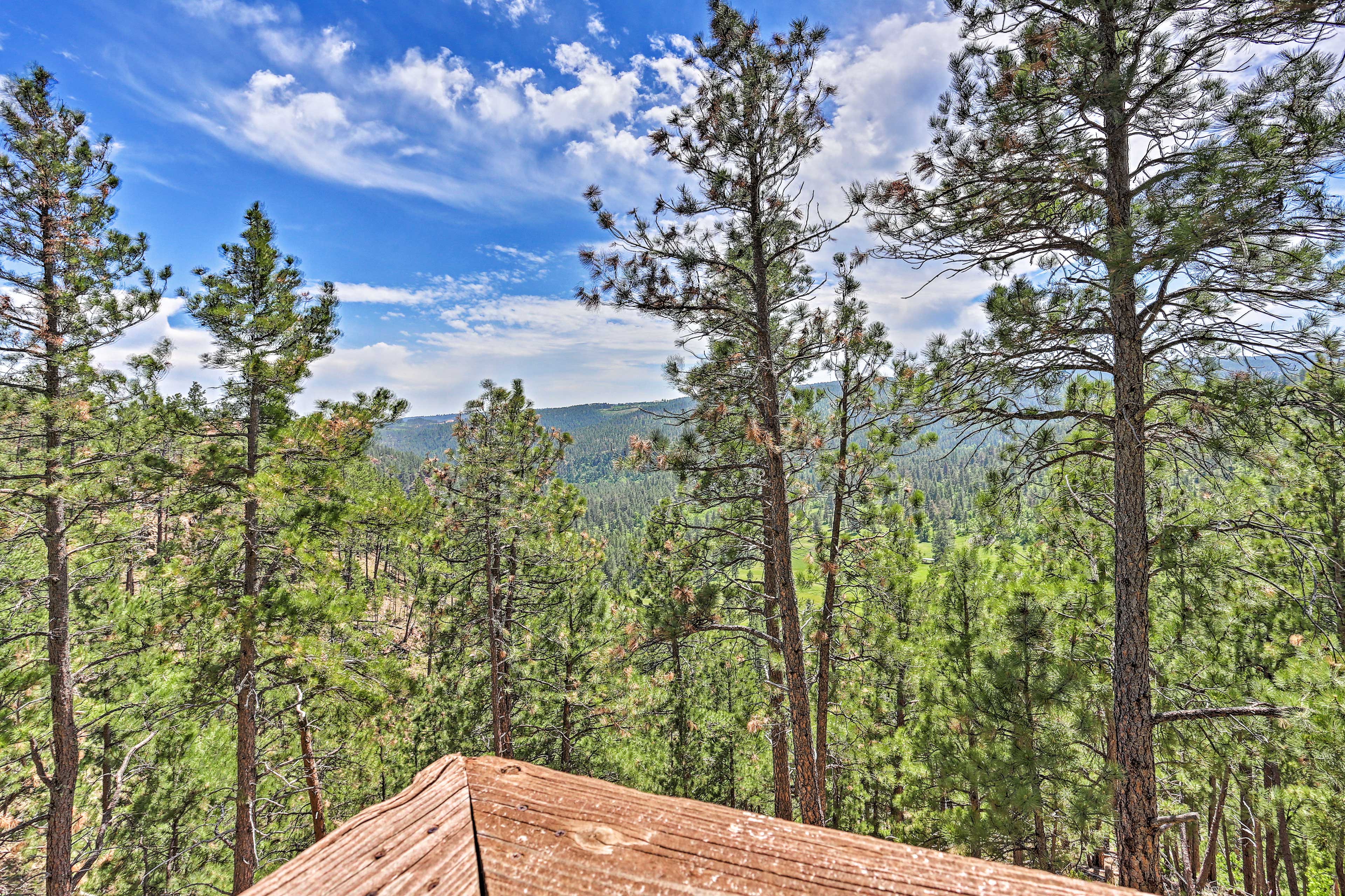 Deck | Black Hills Views