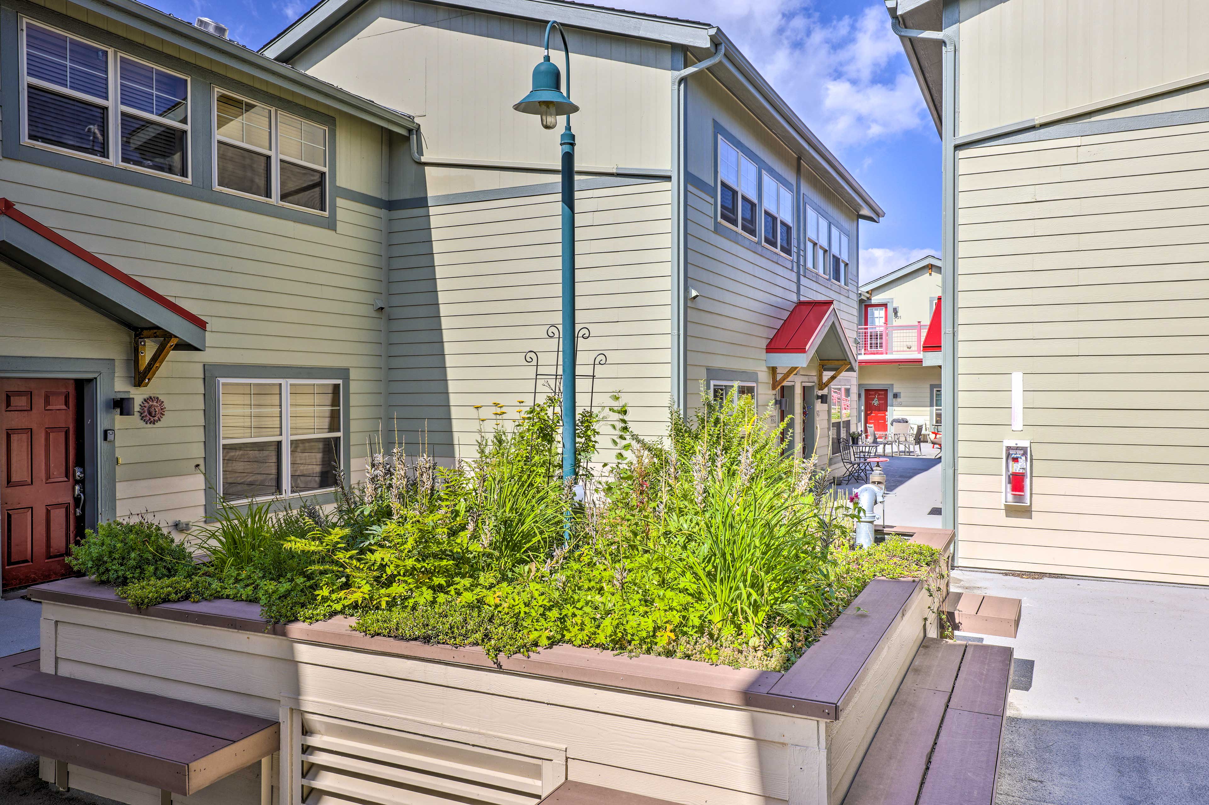 Shared Courtyard