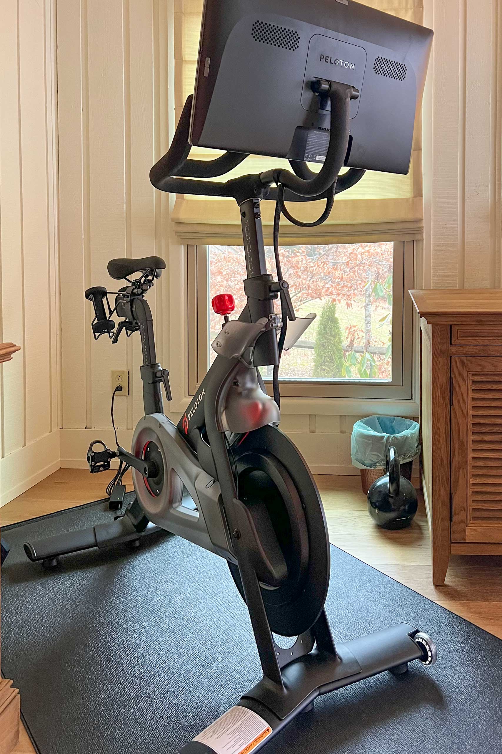 Bedroom 1 | Exercise Bike