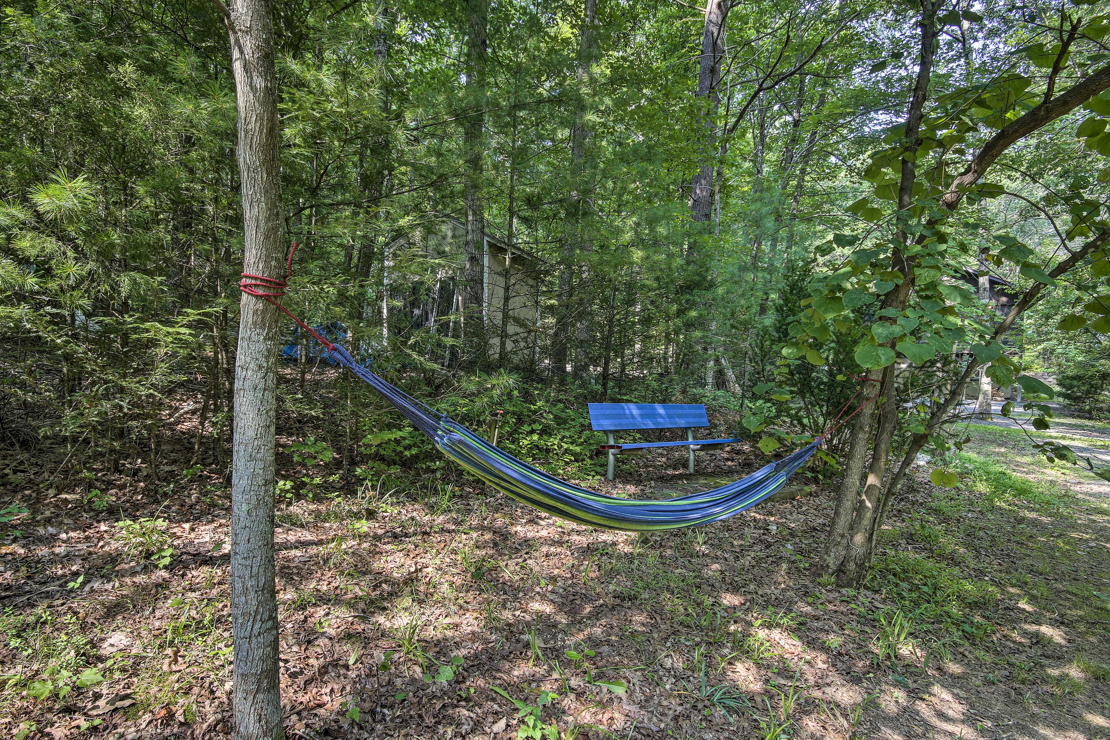 Private Yard | Hammock | Tree Swing