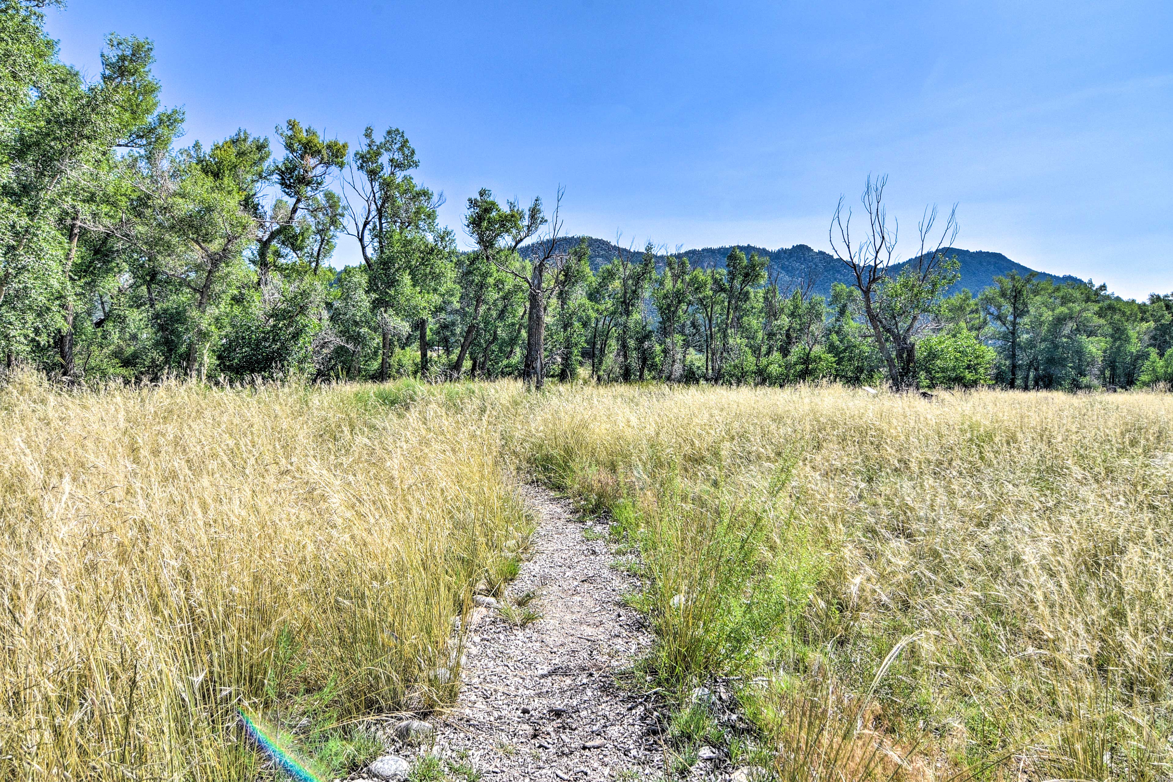 Nearby Nature Trail