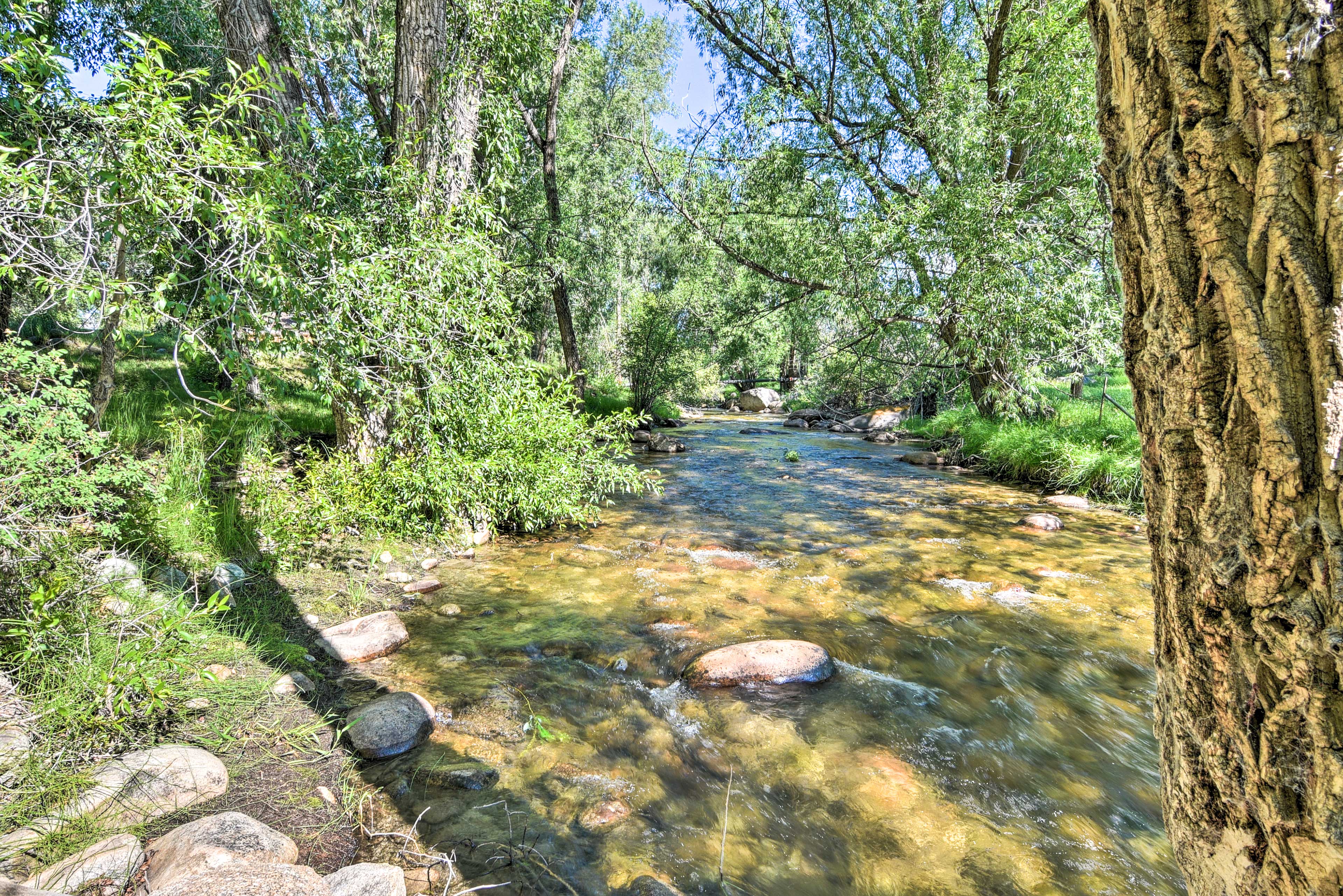 Nearby Nature Trail