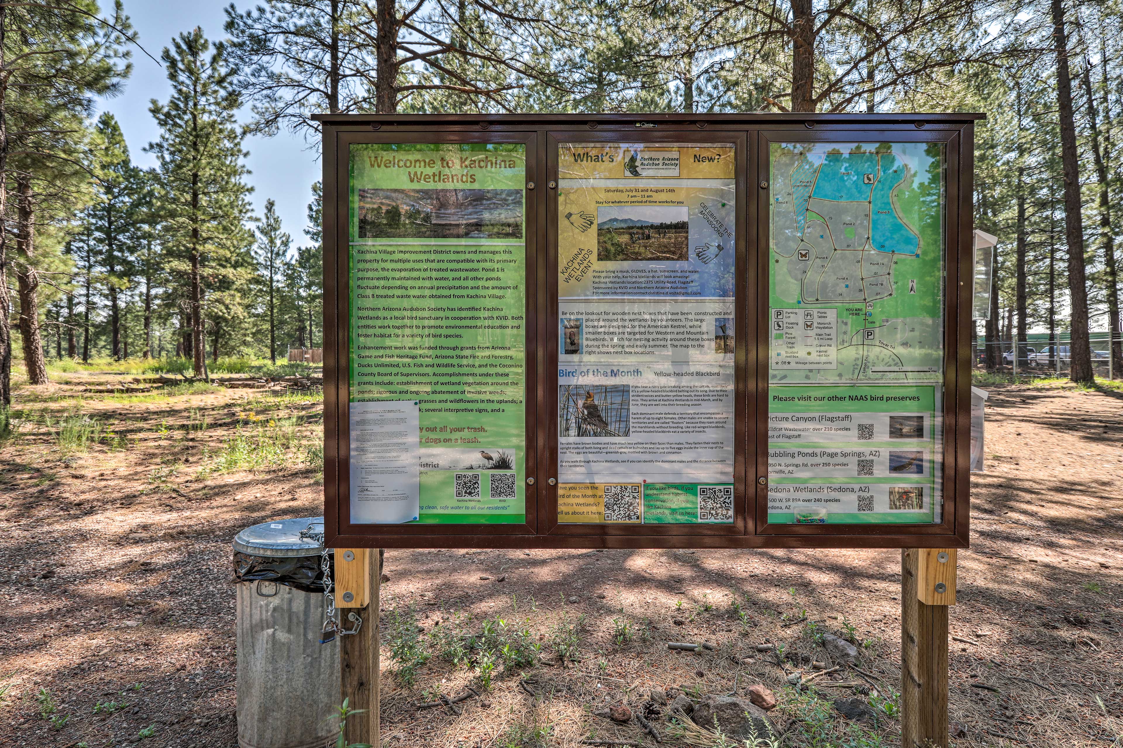 Kachina Village Wetland