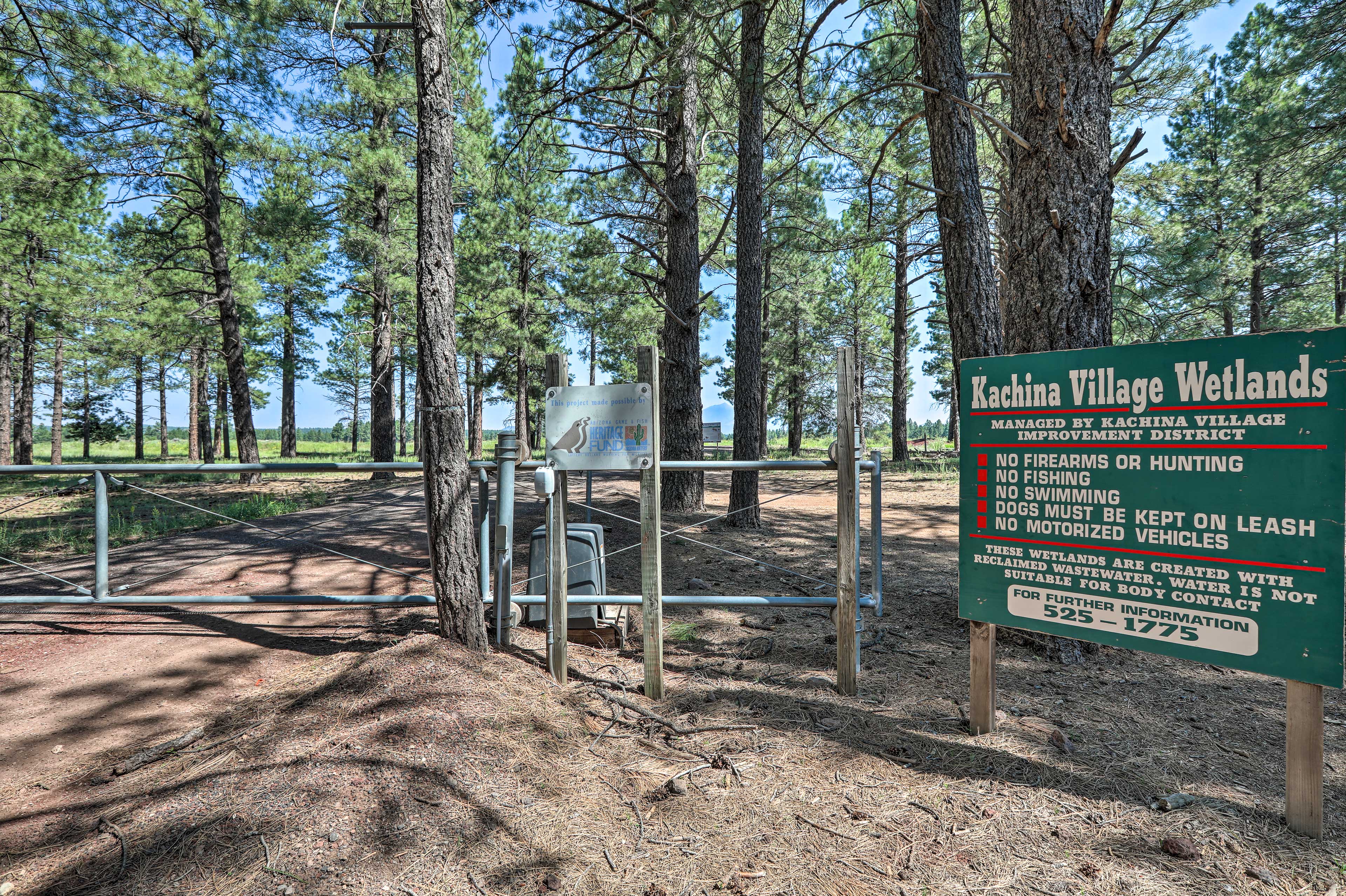 Walk to Kachina Village Wetlands