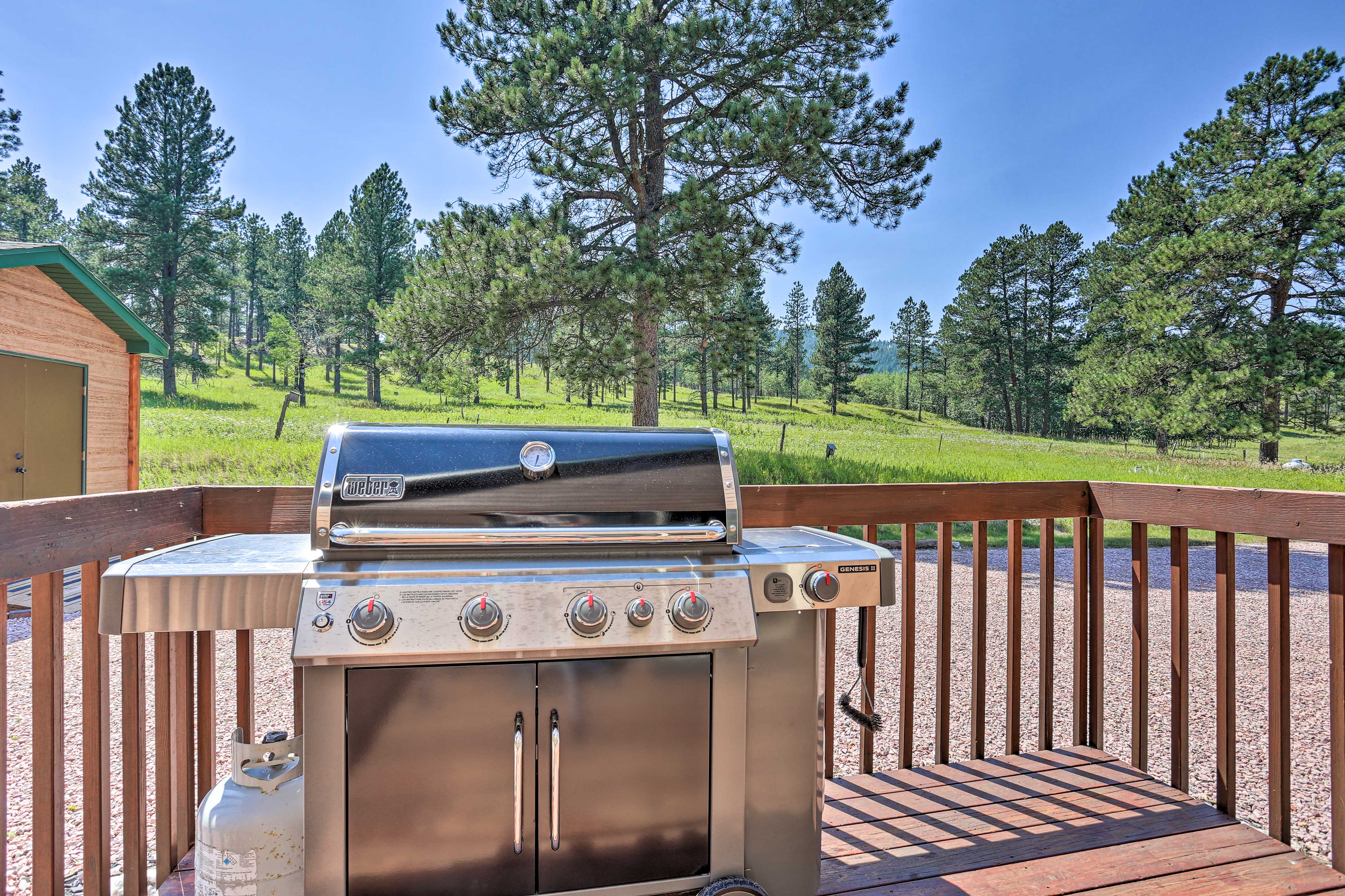 Back Deck | Gas Grill