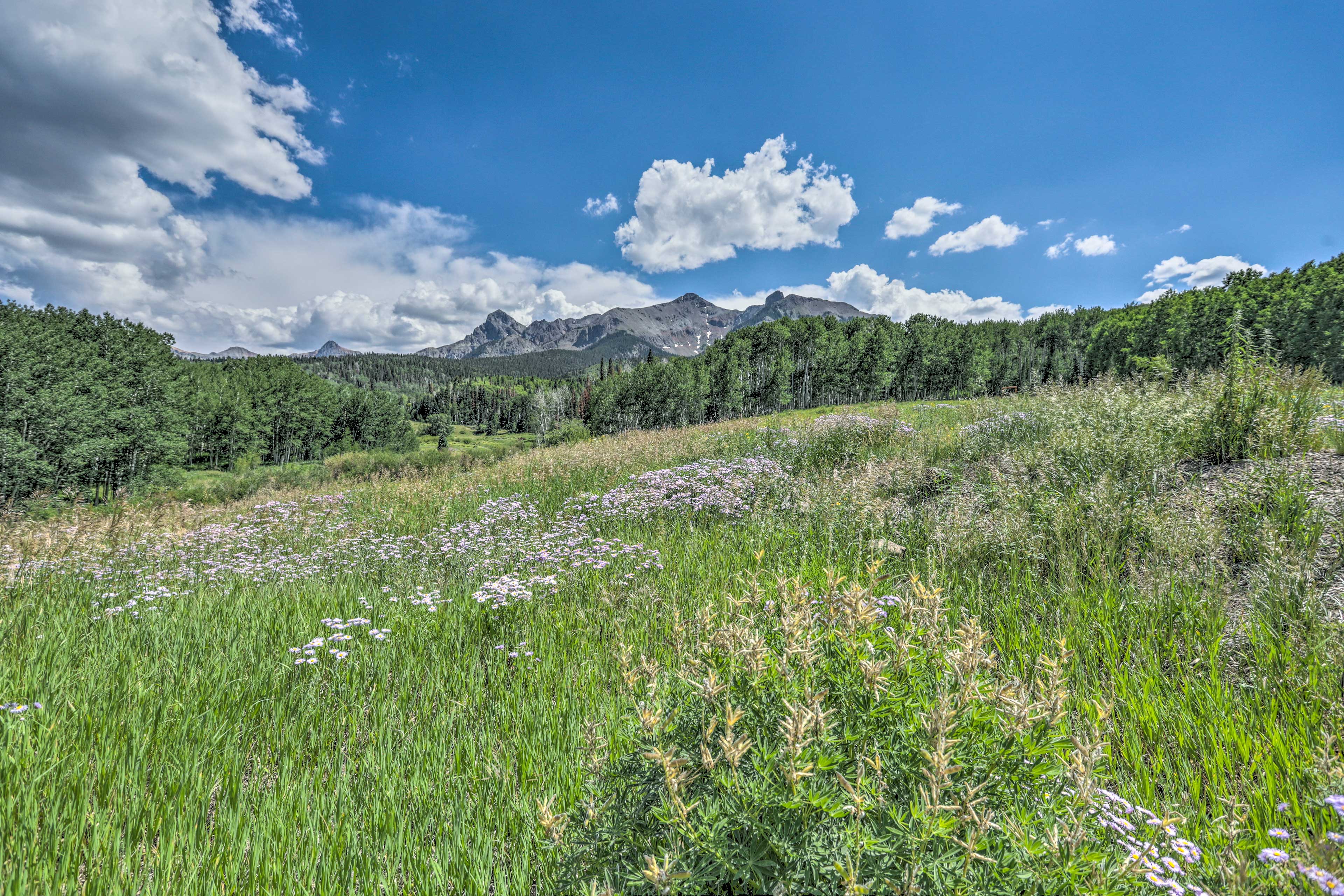 Property Grounds | Sneffels Mountains