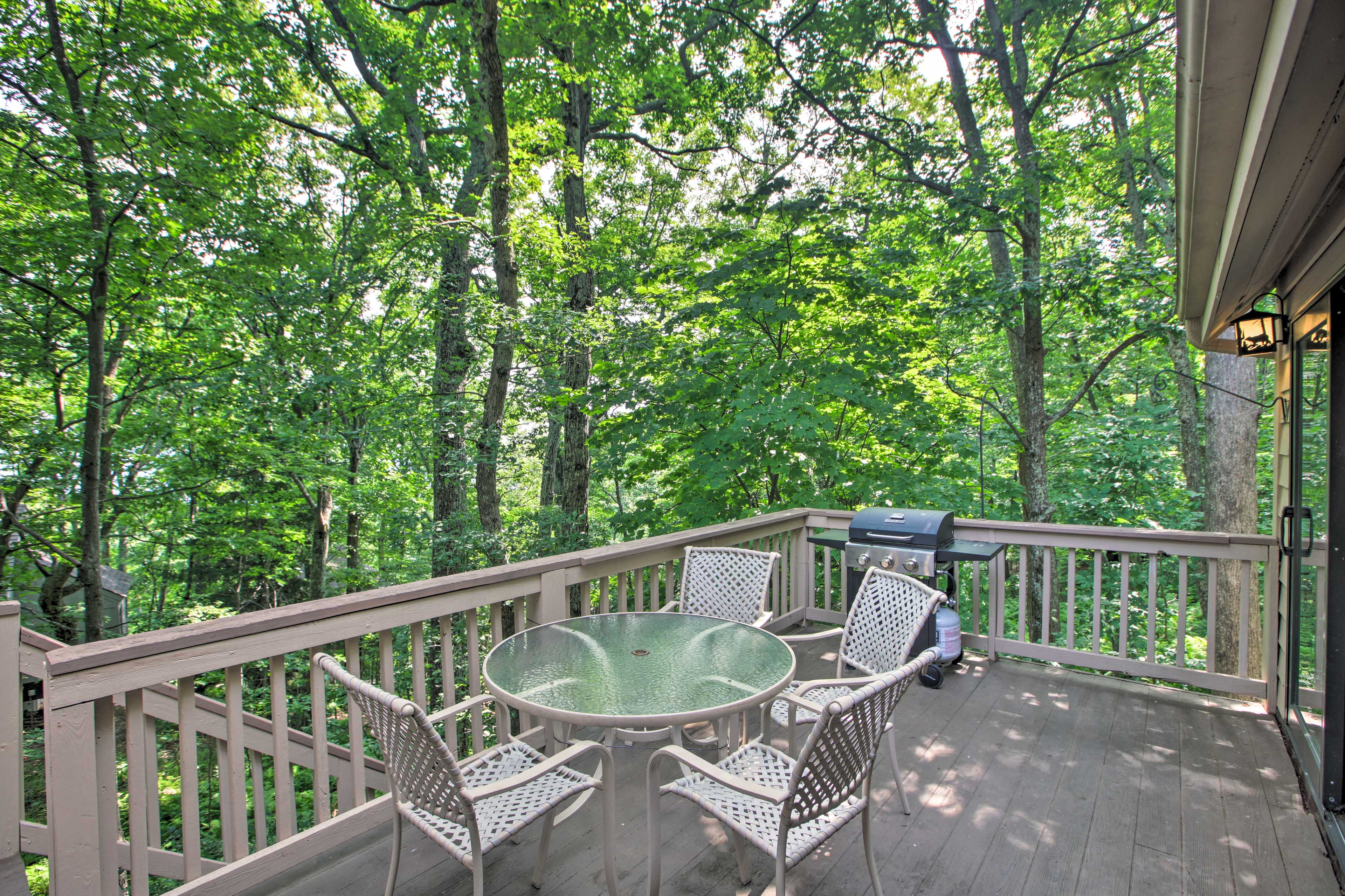 1st-Floor Deck | Fiber Optic Free WiFi | 0.7 Mi to Wintergreen Resort