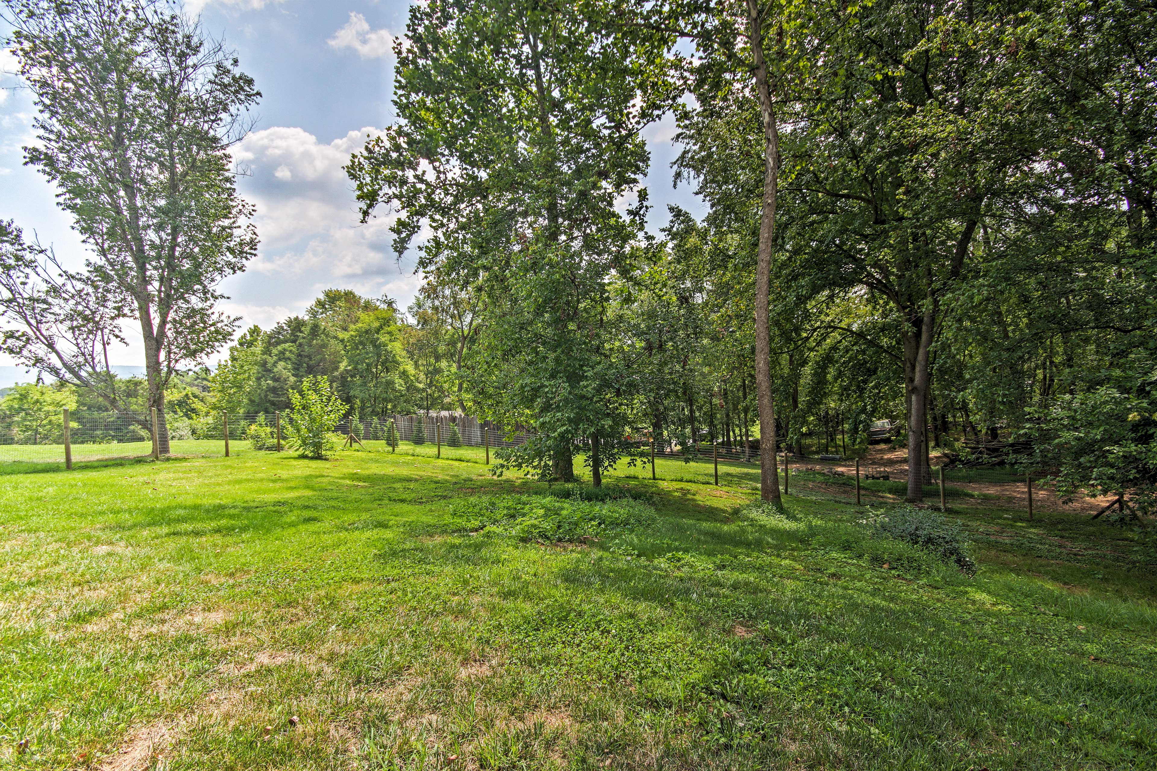 Fenced-In Dog Run Area