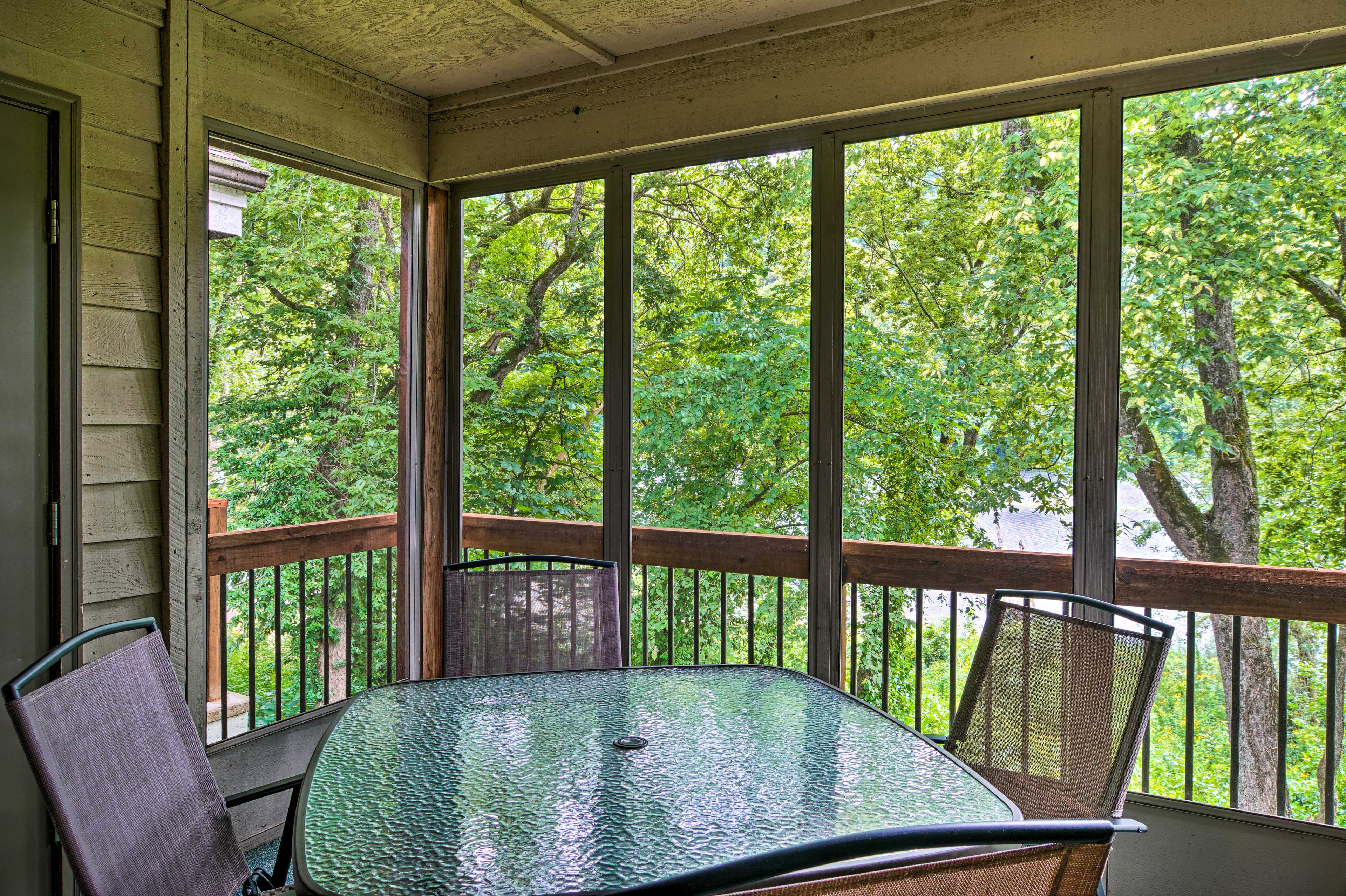 Screened-In Balcony | Lake Taneycomo Views