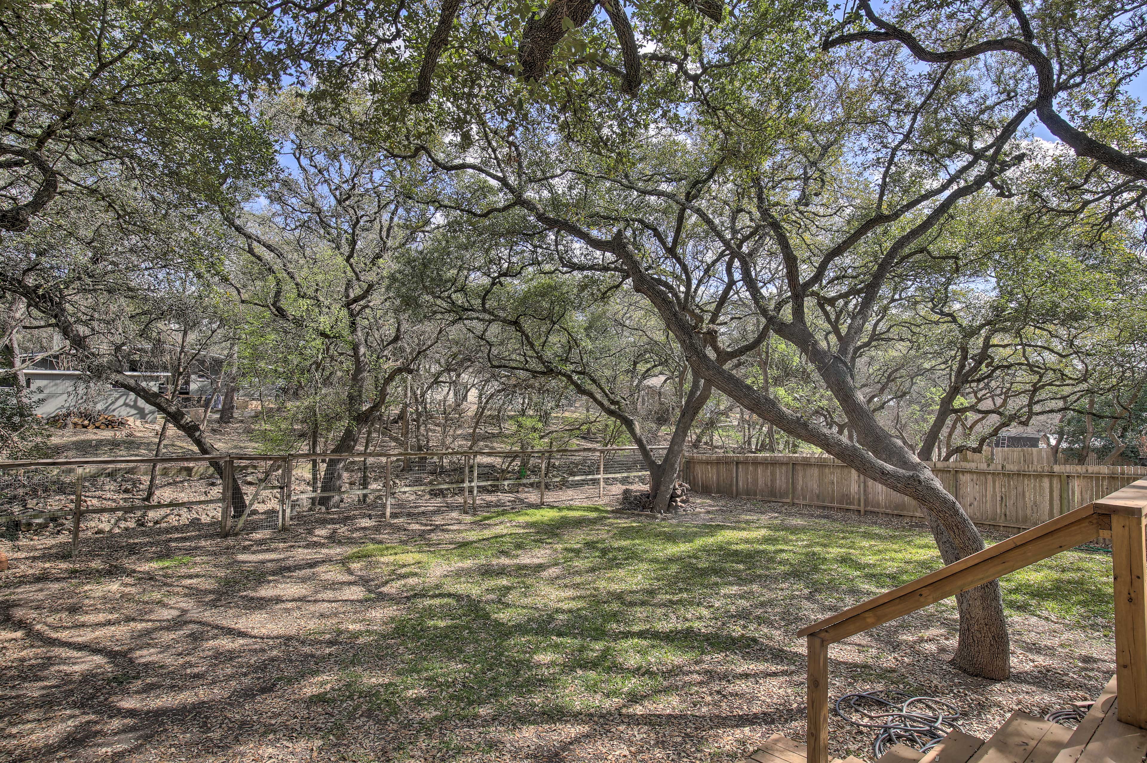 Shared Backyard