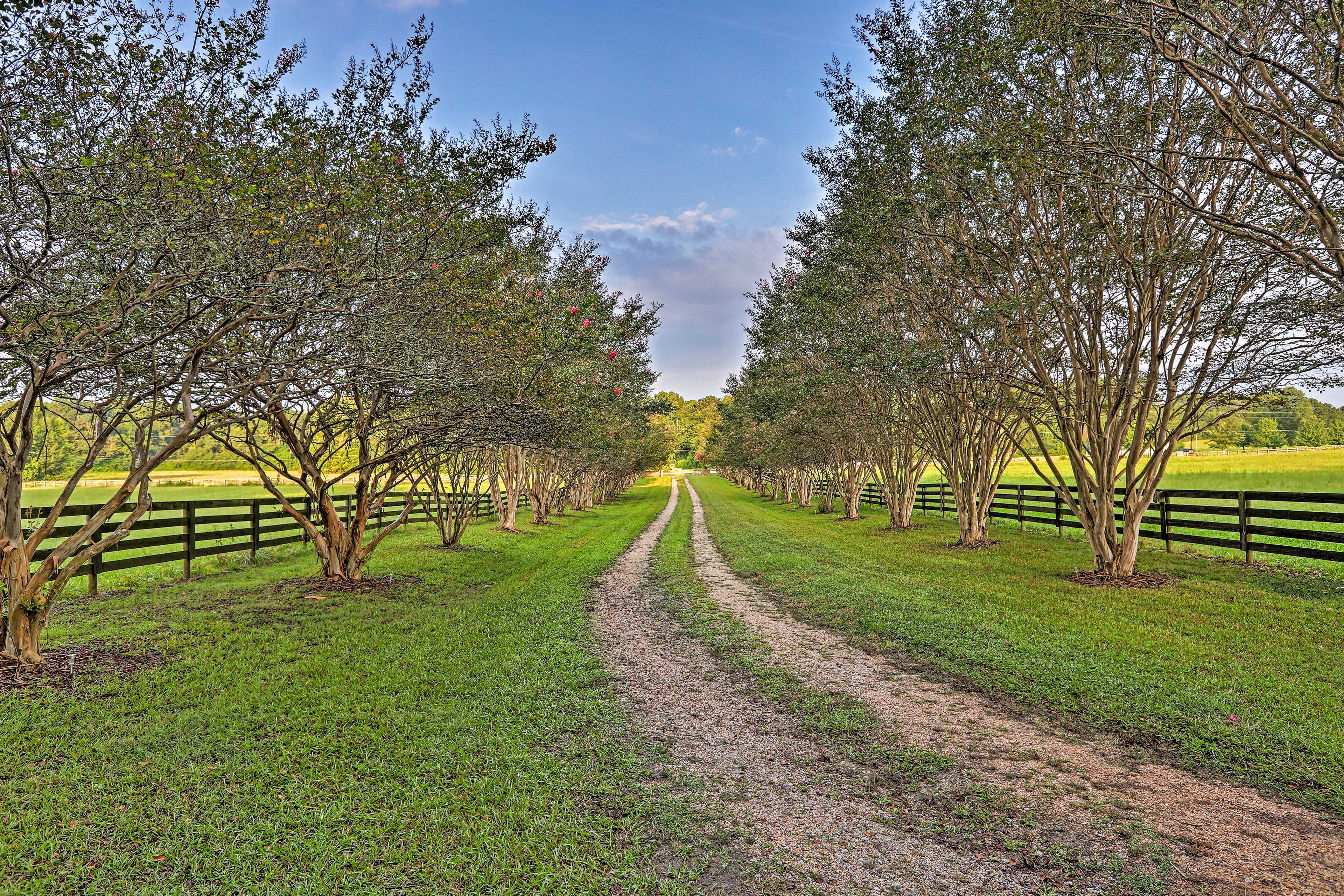 Driveway | 95 Acres | Secluded Setting