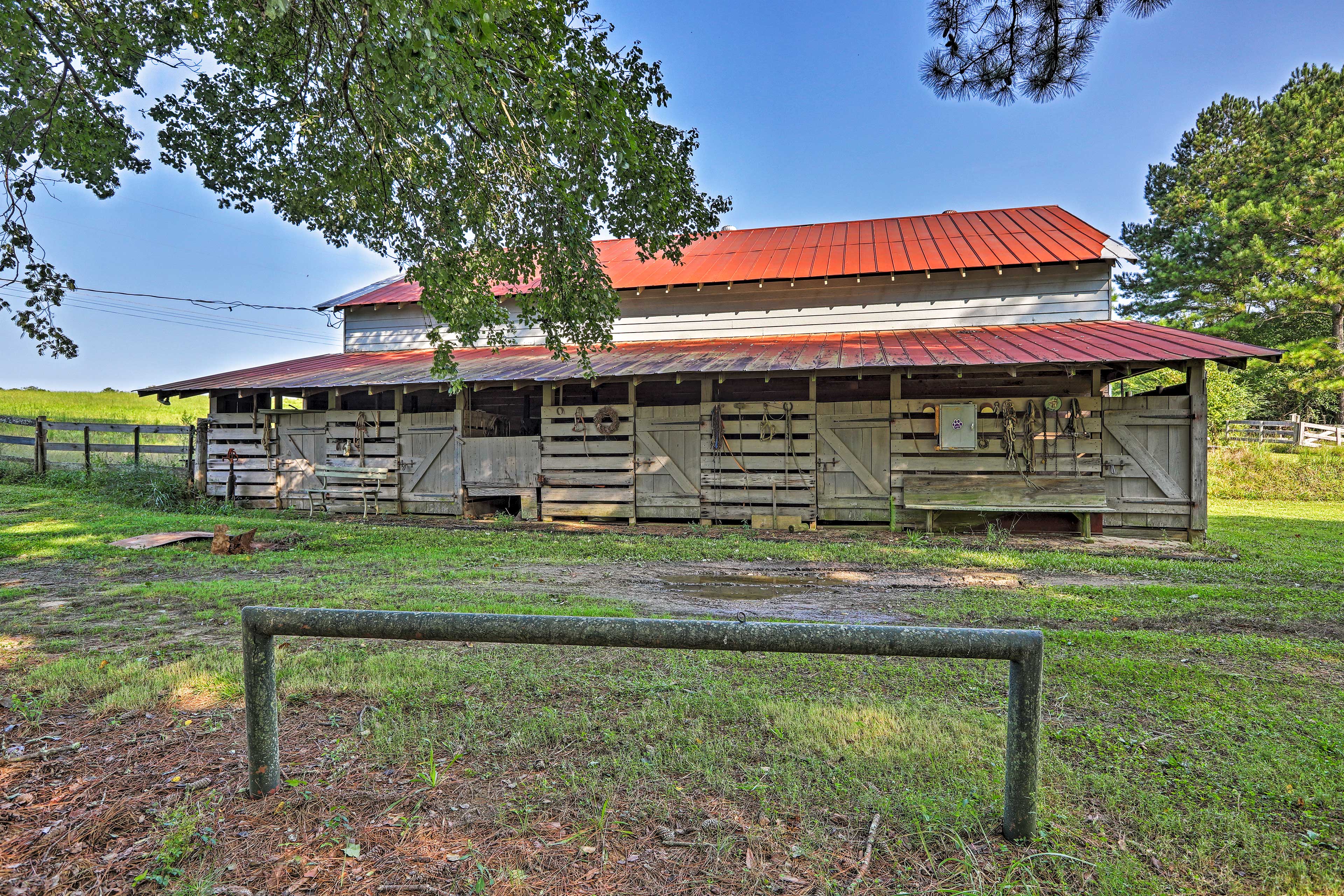 Shared Yard