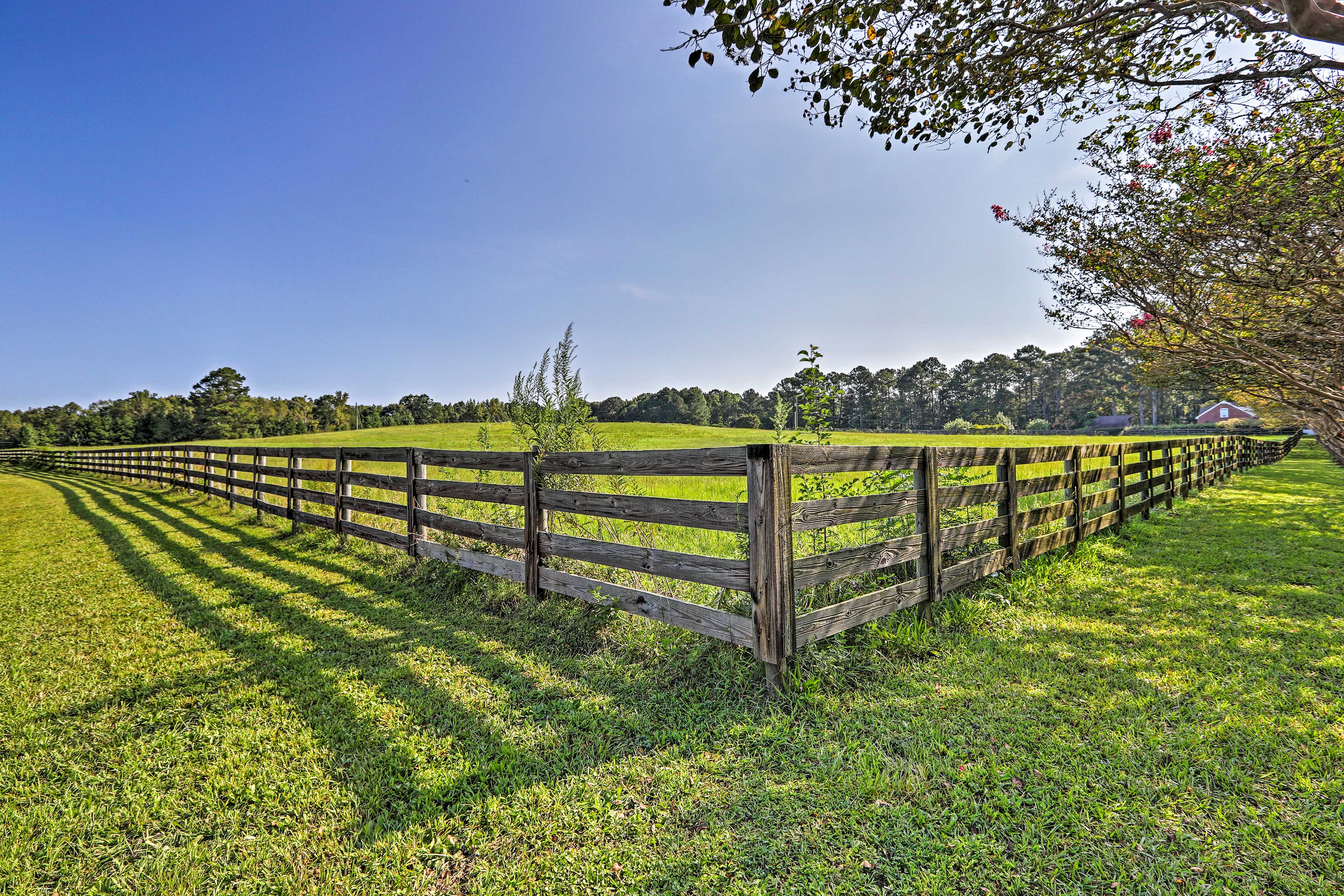 Shared Yard