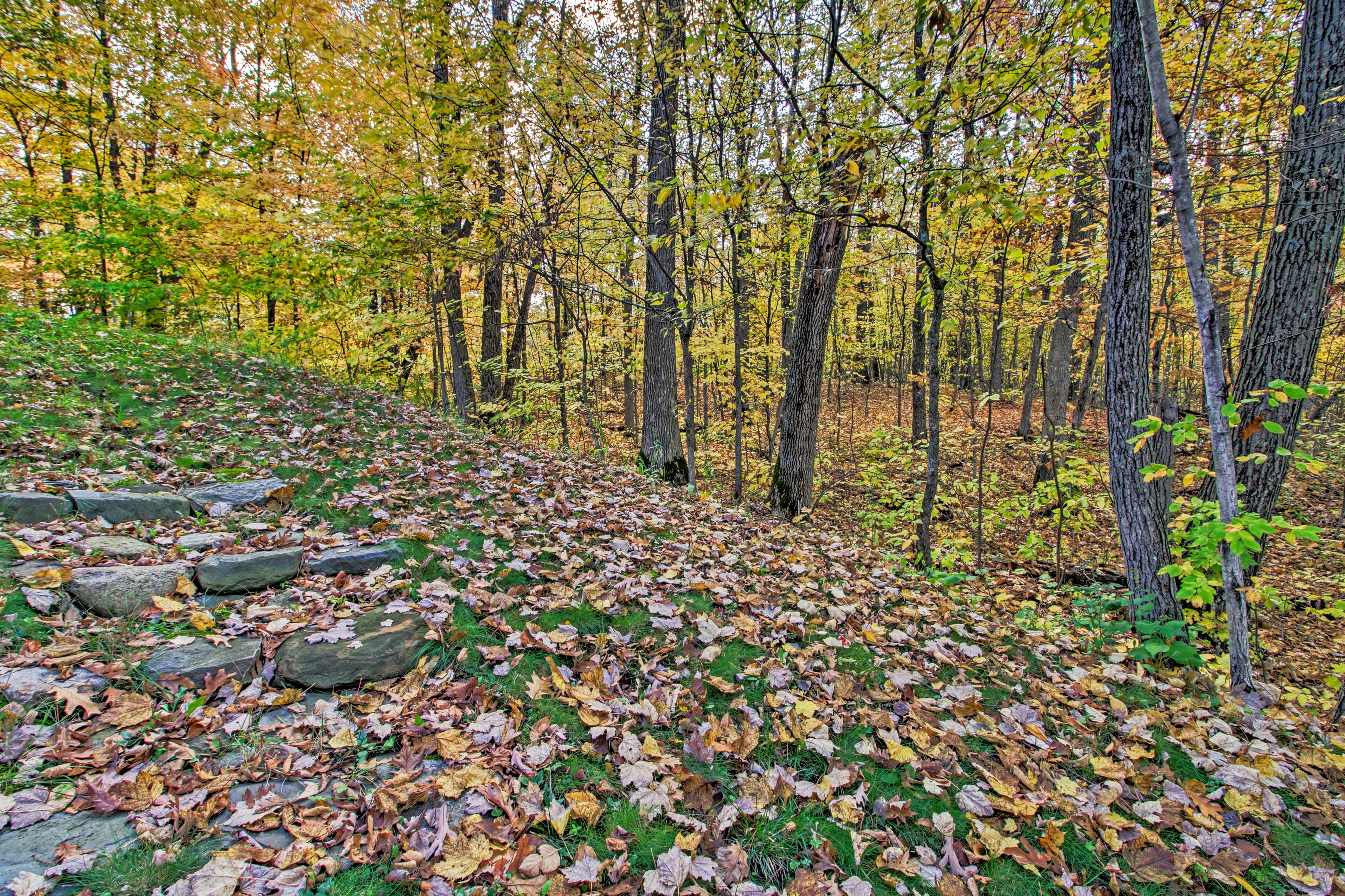 Wooded Views