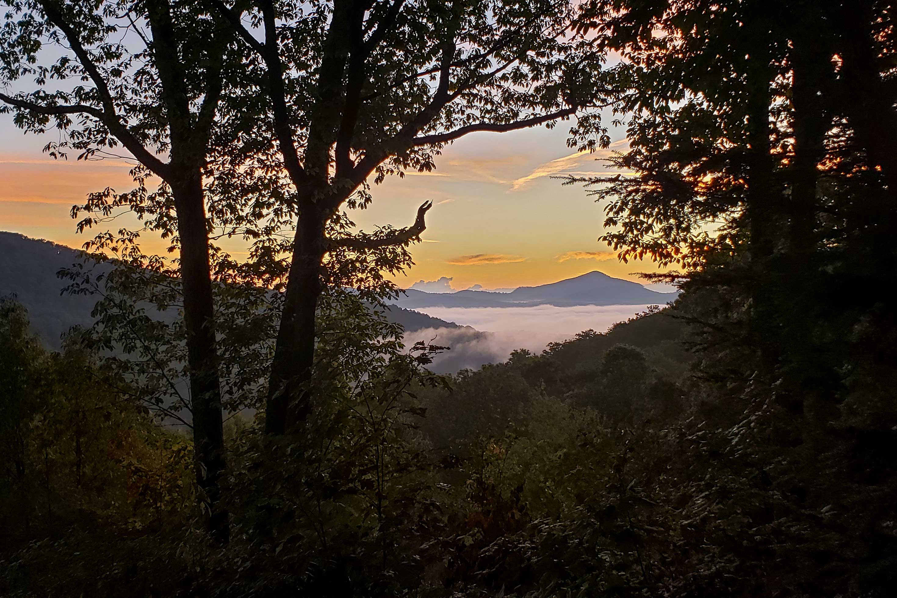 View From Deck