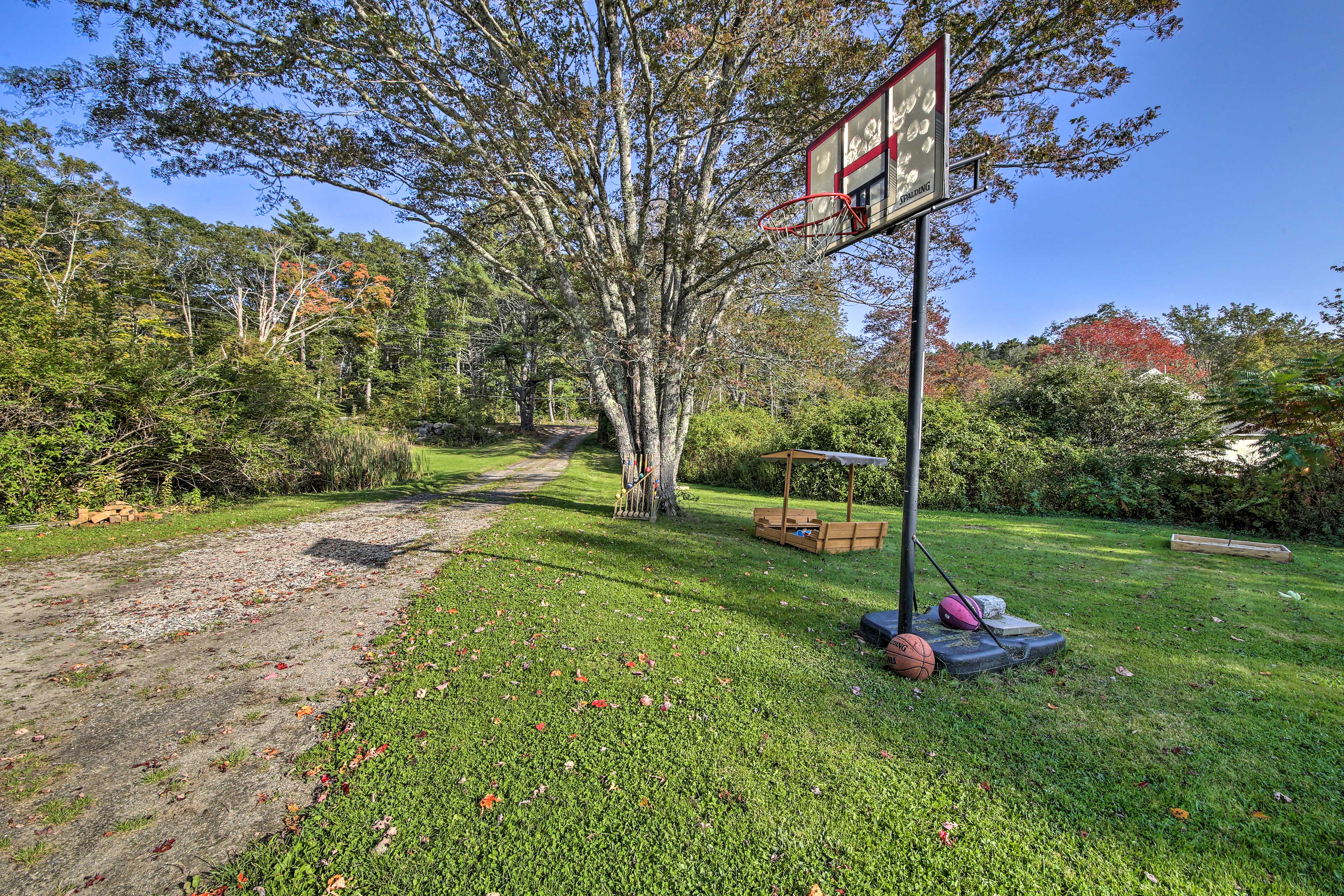 Shared Yard | Basketball Hoop