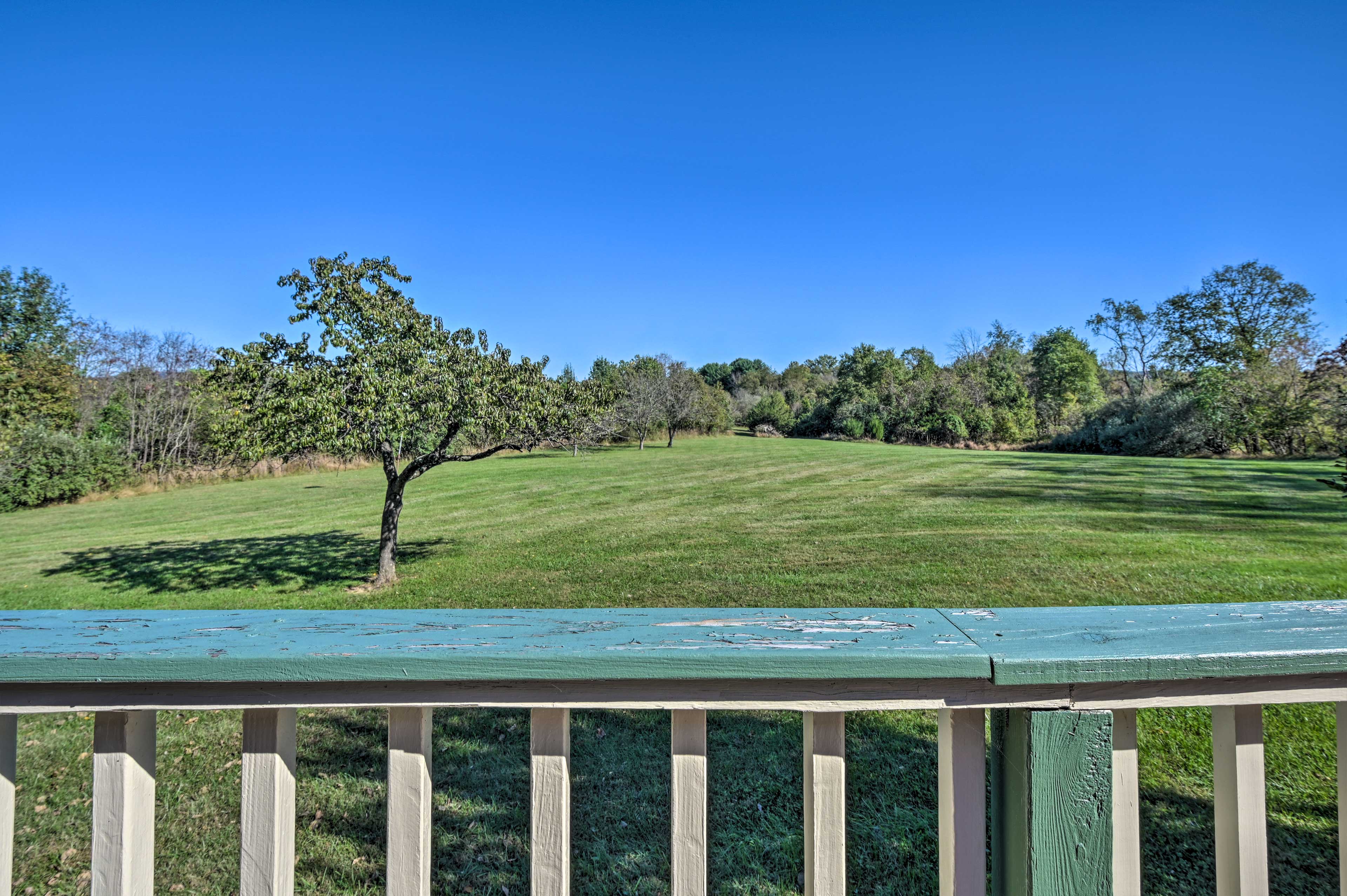 Deck | Backyard Views