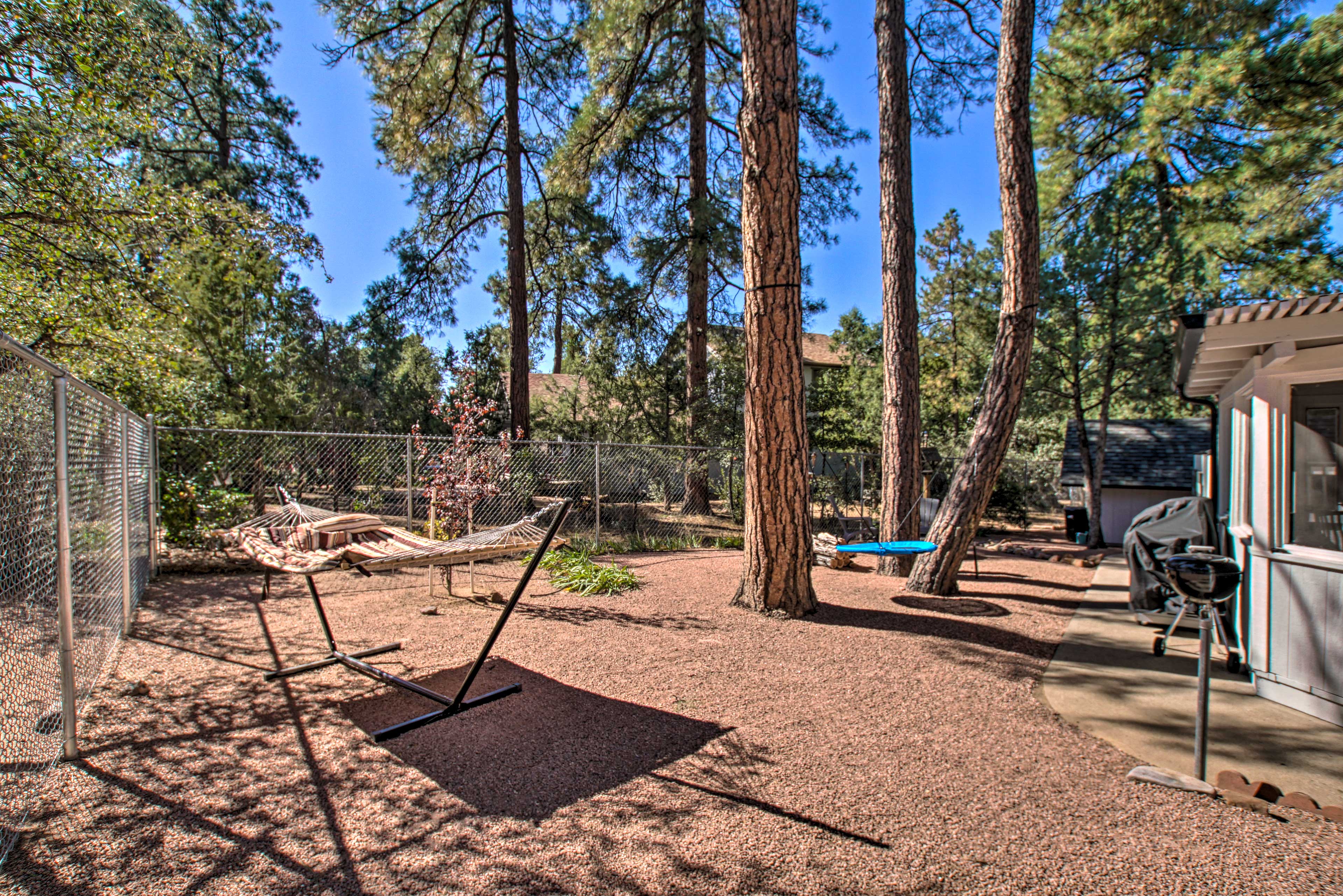 Private Yard | Hammock | Tree Swing