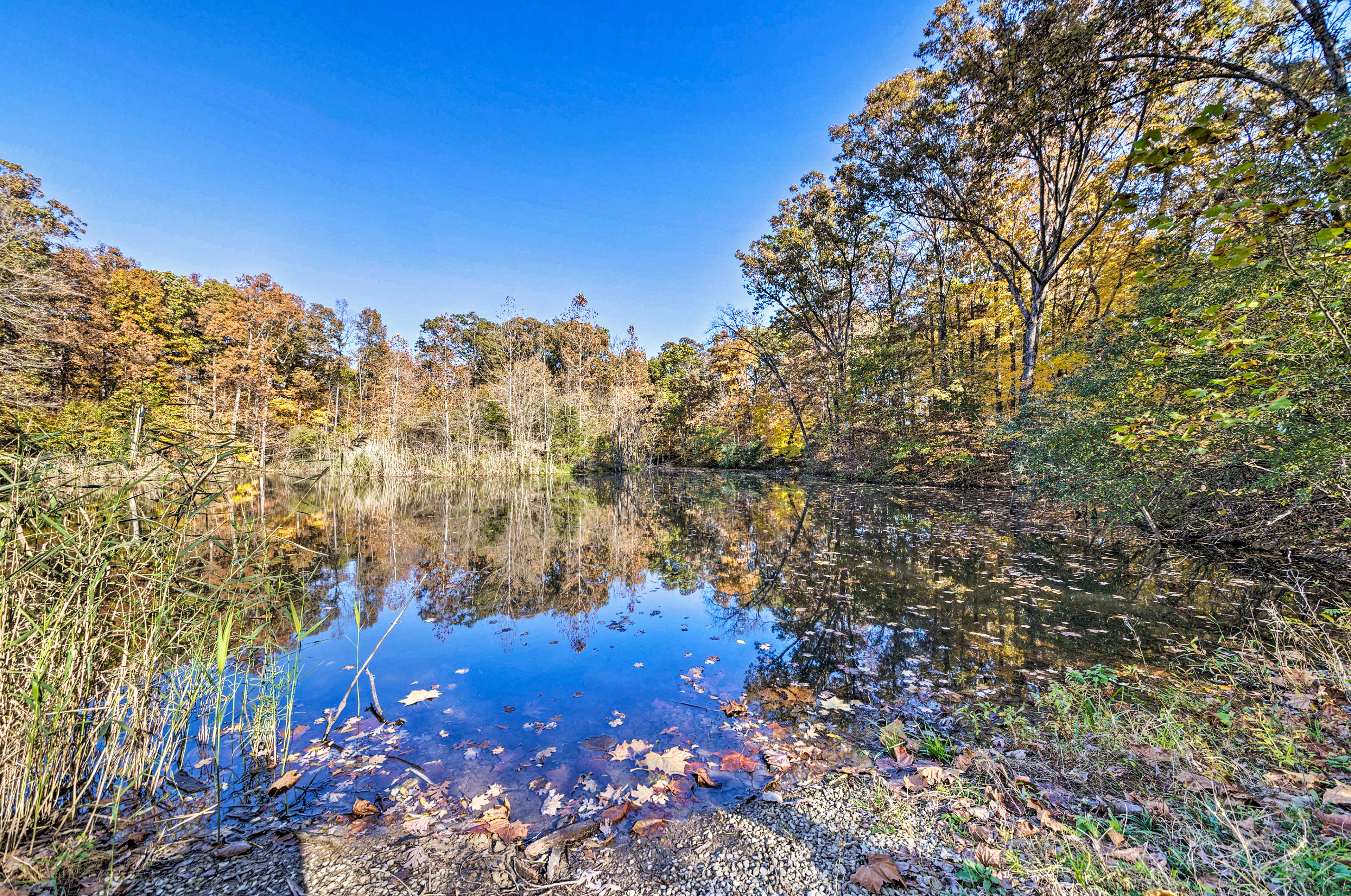 On-Site Fishing Pond