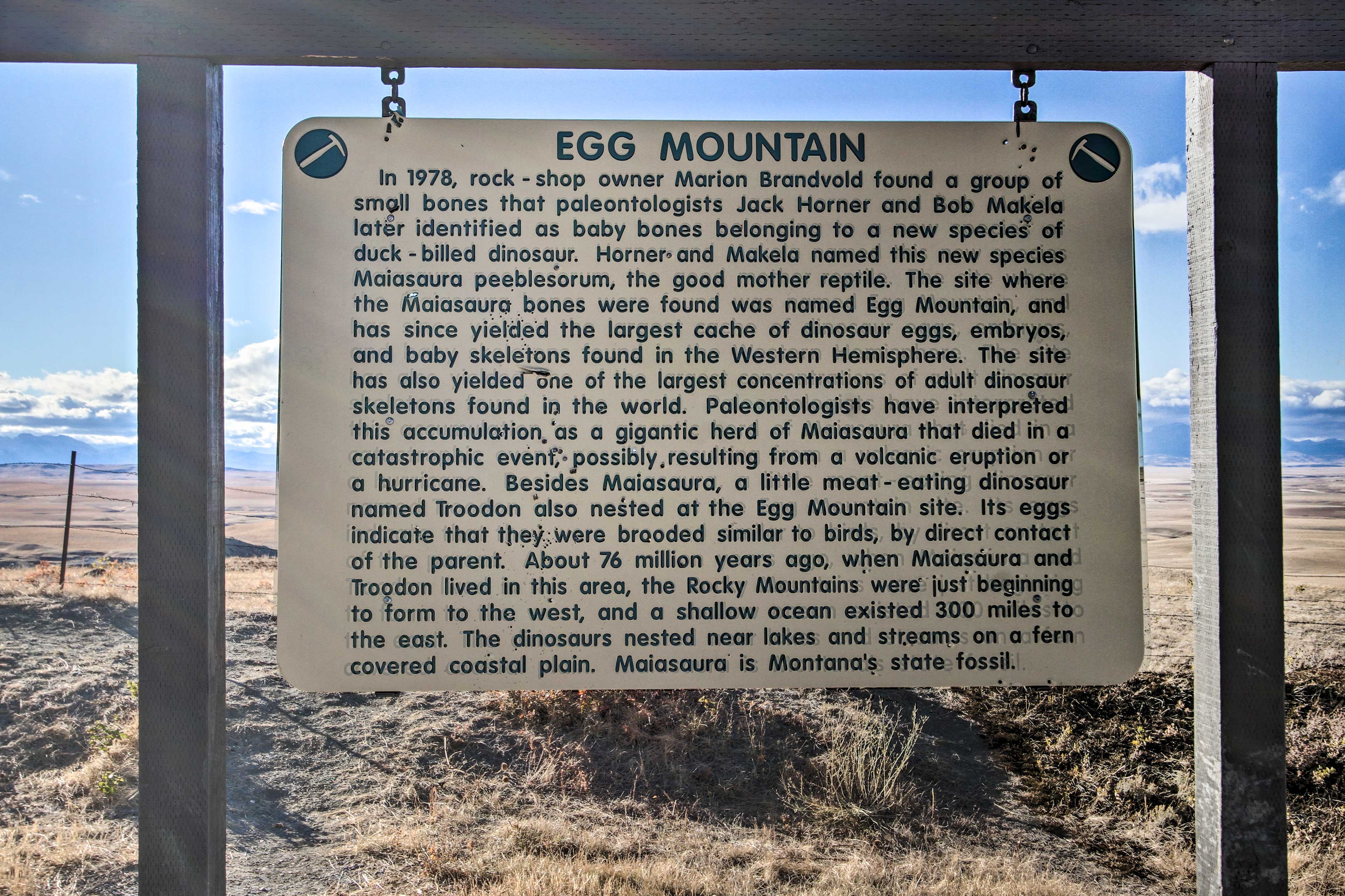 Egg Mountain Lookout | ~7 Miles from Property