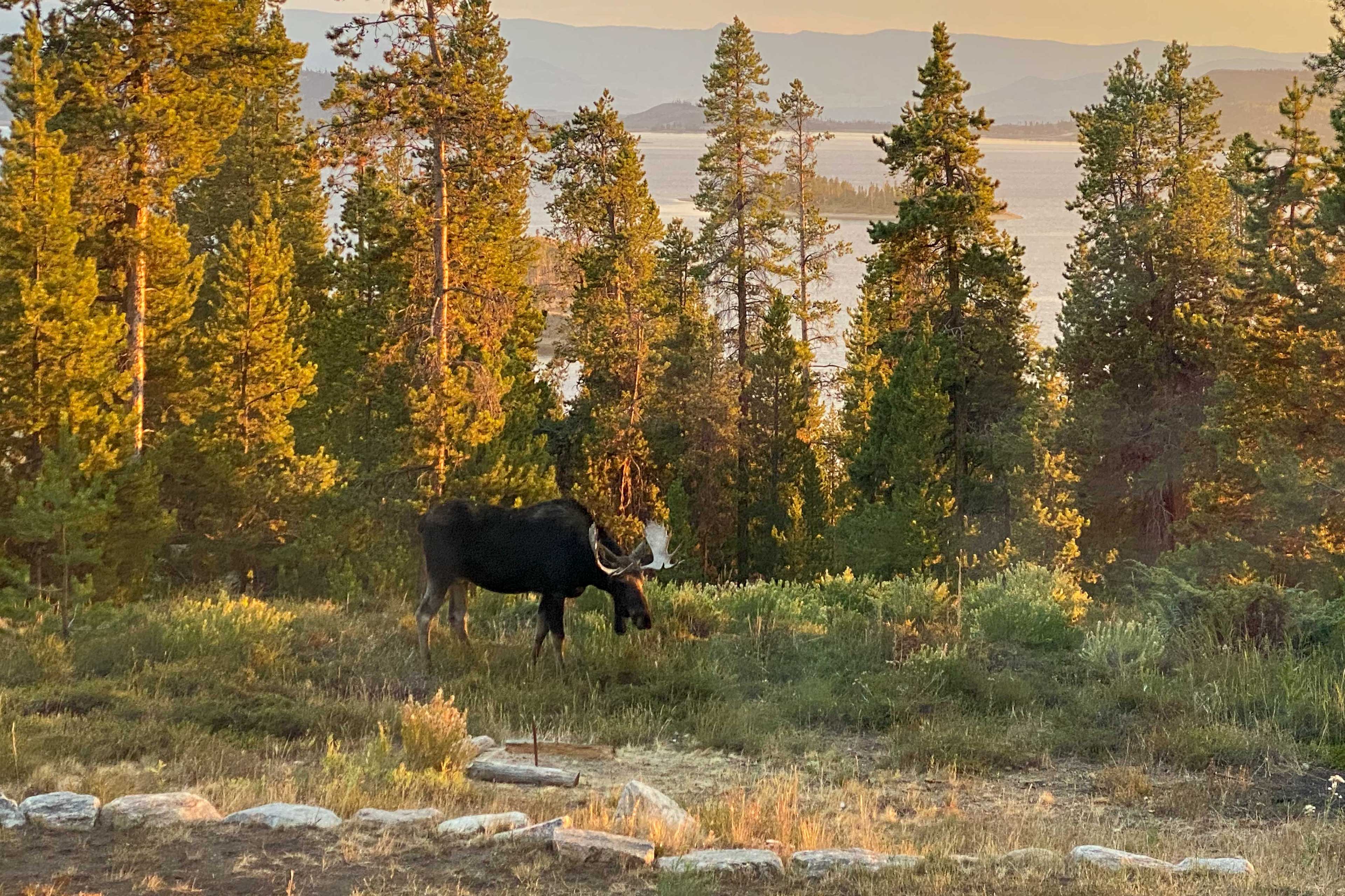 On-Site Nature