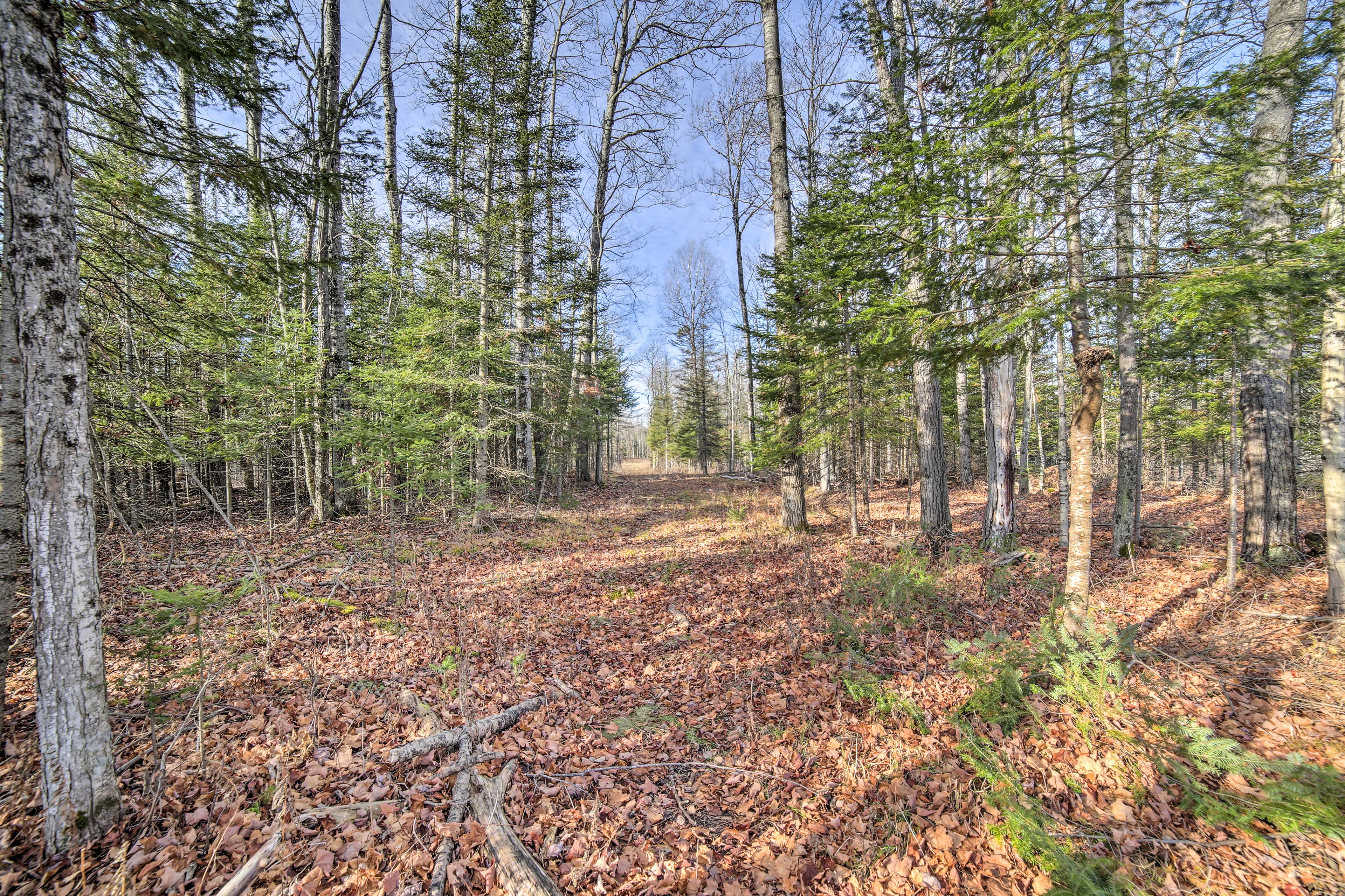 Cornell Nature & Trail Views | Gas Grill | Fire Pit