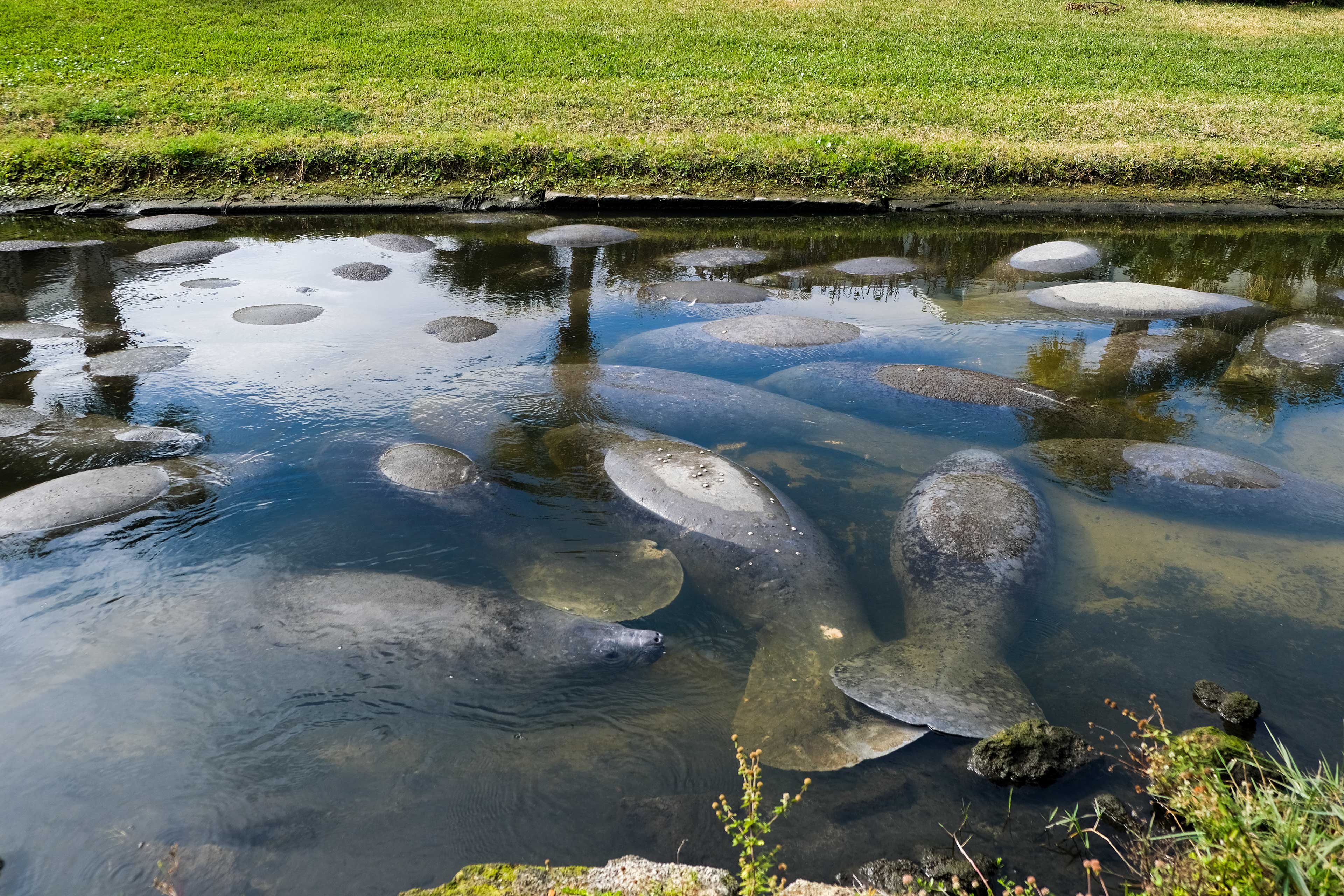 Community Canal