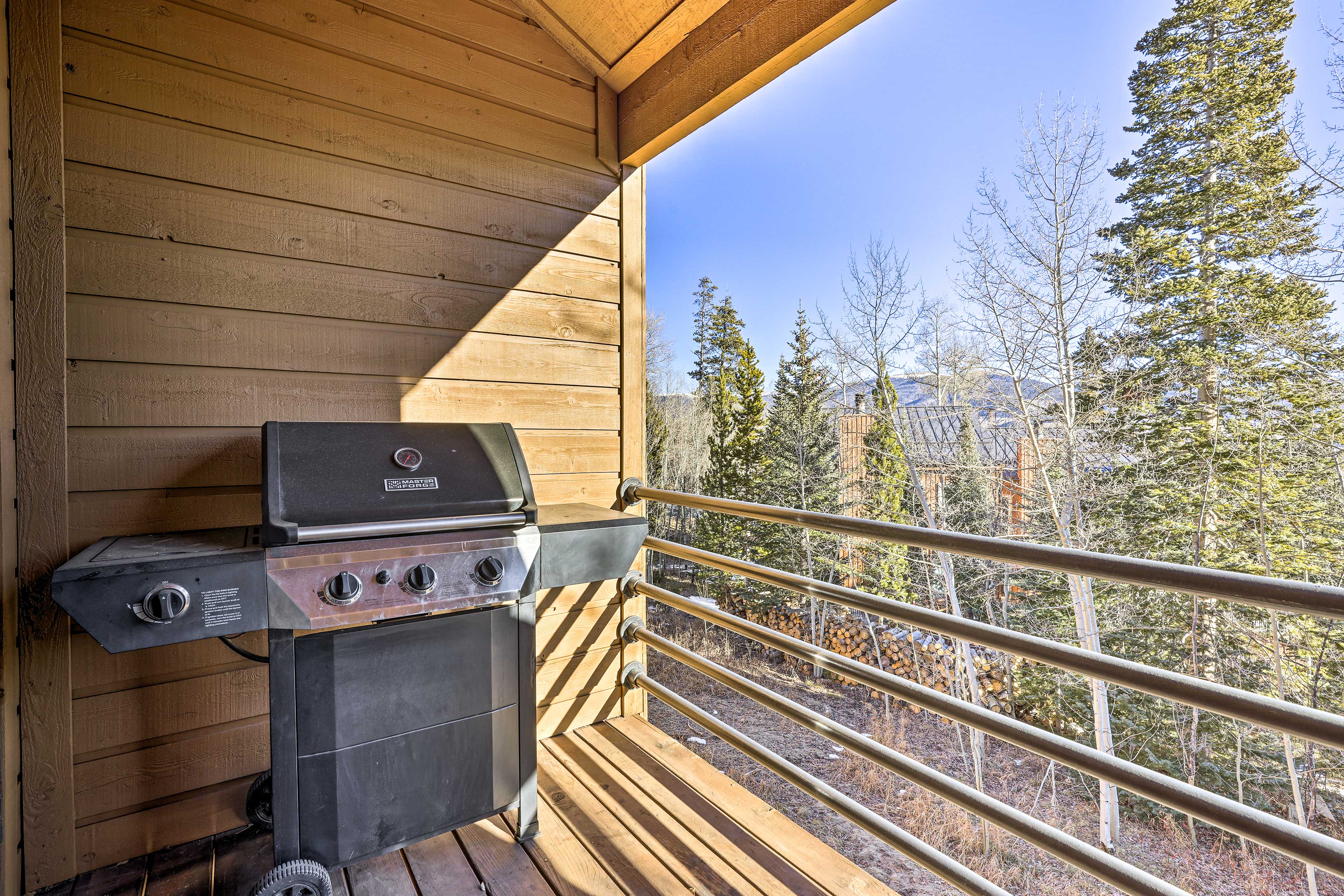 Patio Area w/ Grill | Access via Living Room