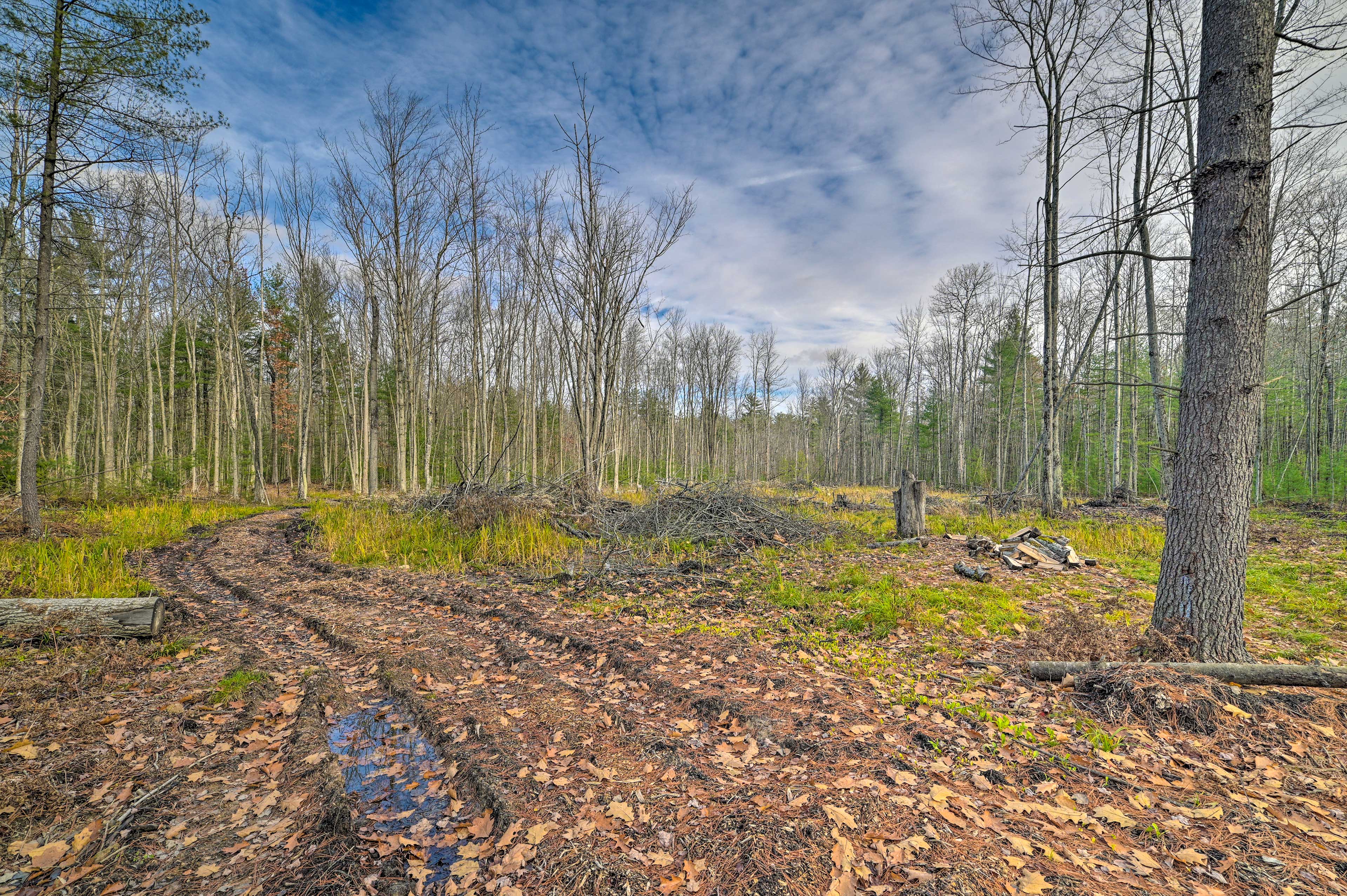 On-Site Walking Trails | 18 Acres