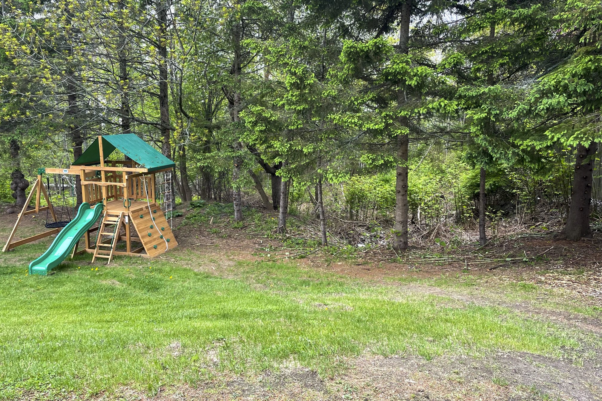 Wooded Backyard