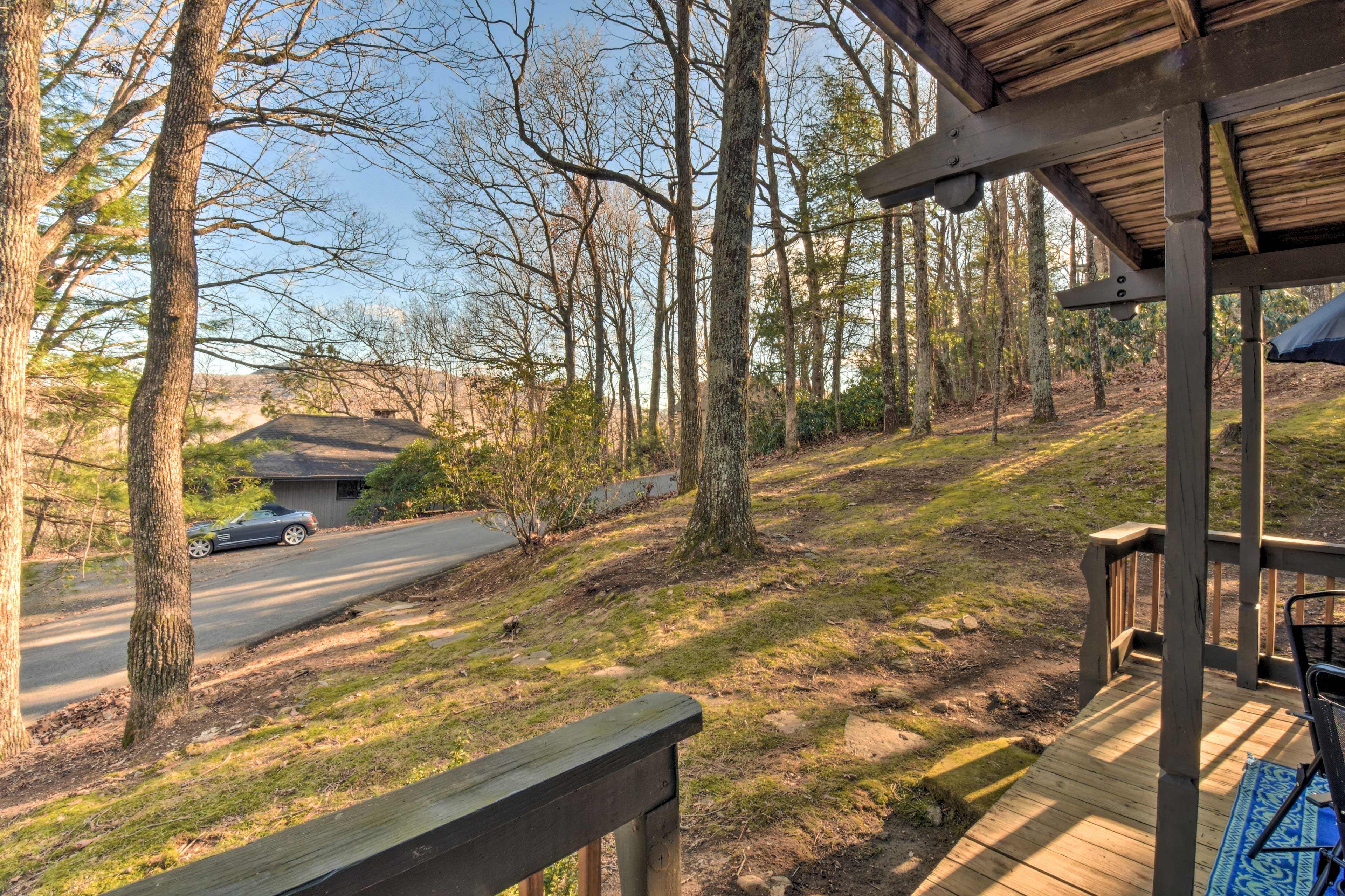Lower Deck | Wooded Views