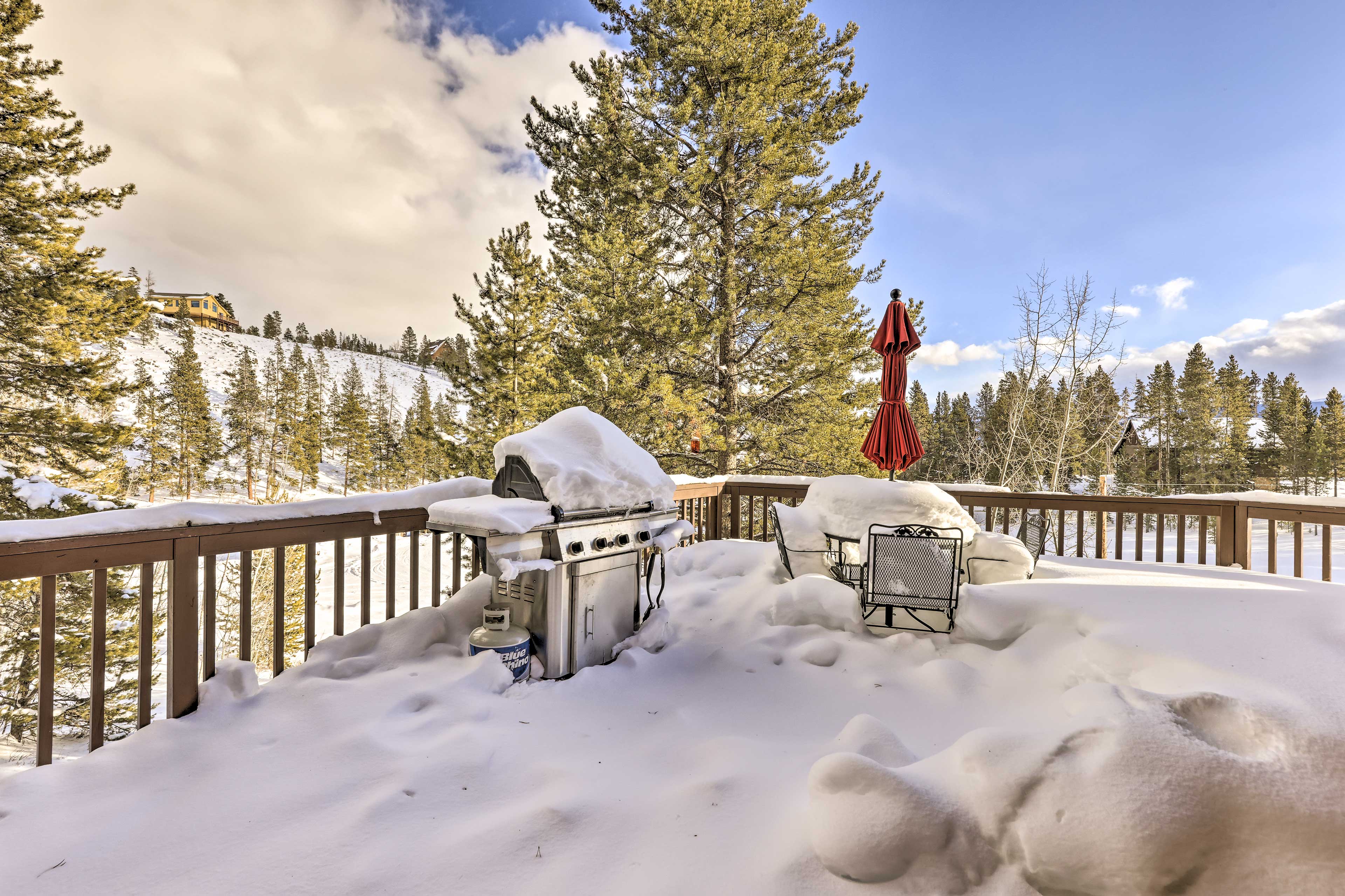 Deck | Dining Set w/ Gas Grill