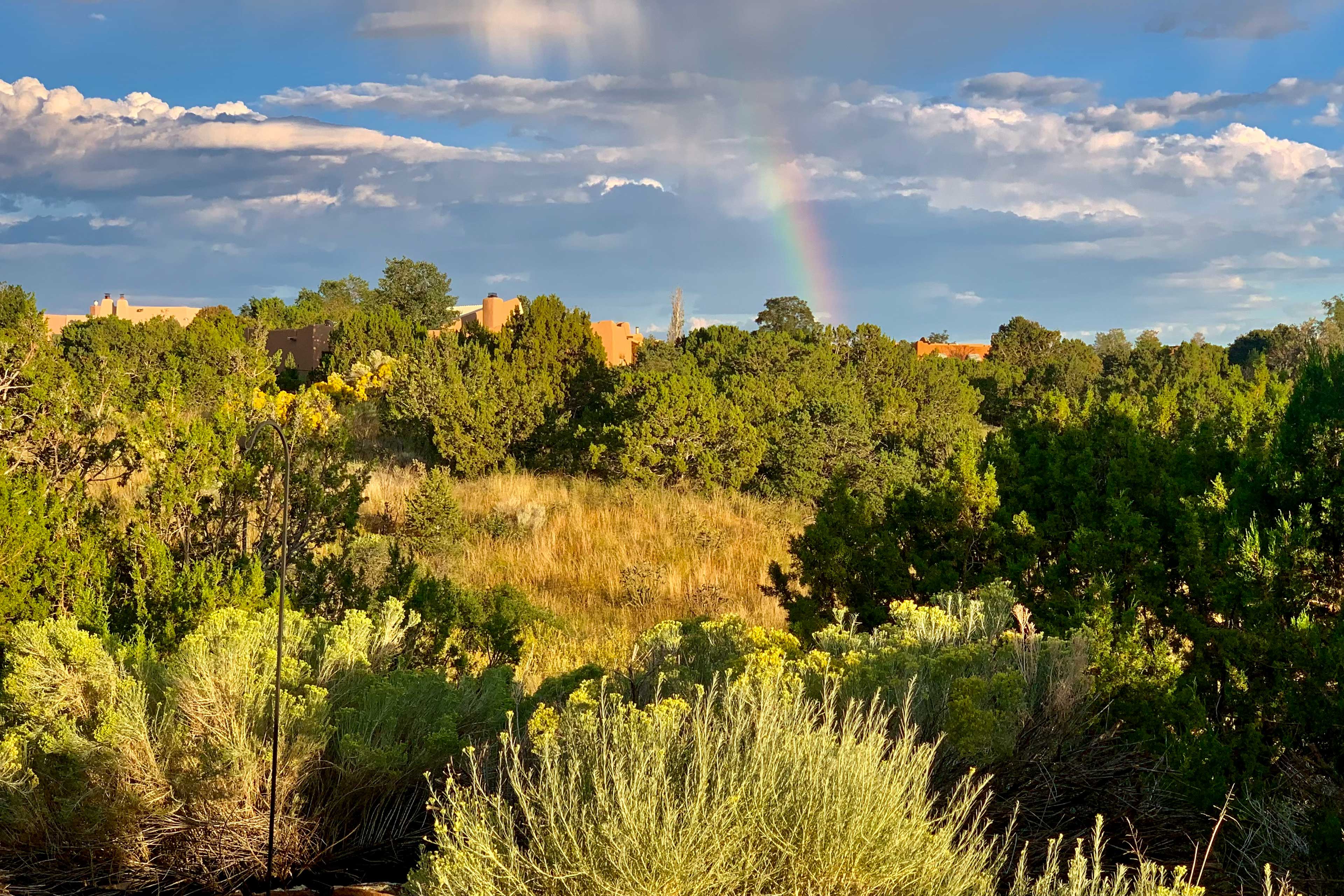 Property Views with Rainbow