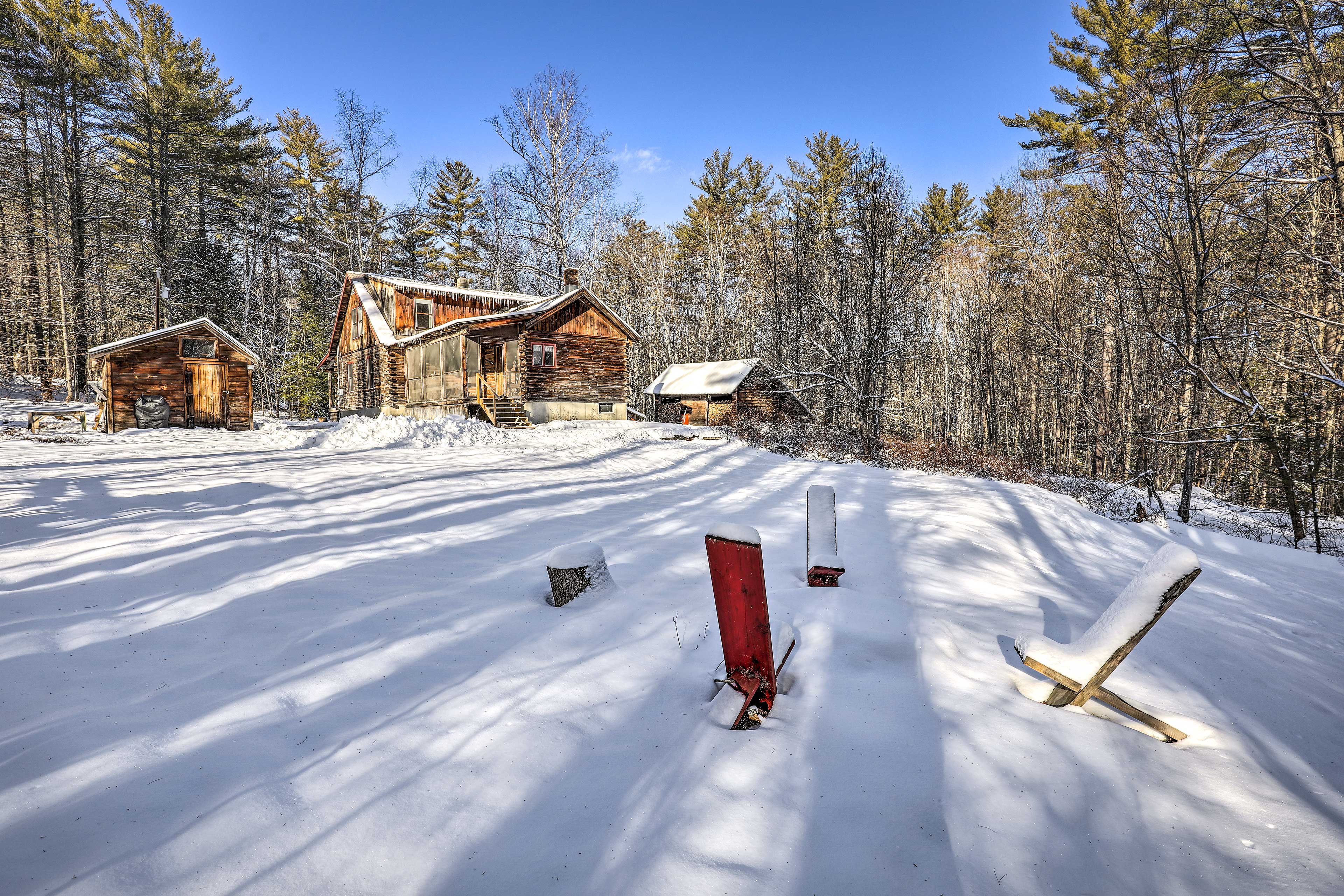 Forested Yard | Fire Pit