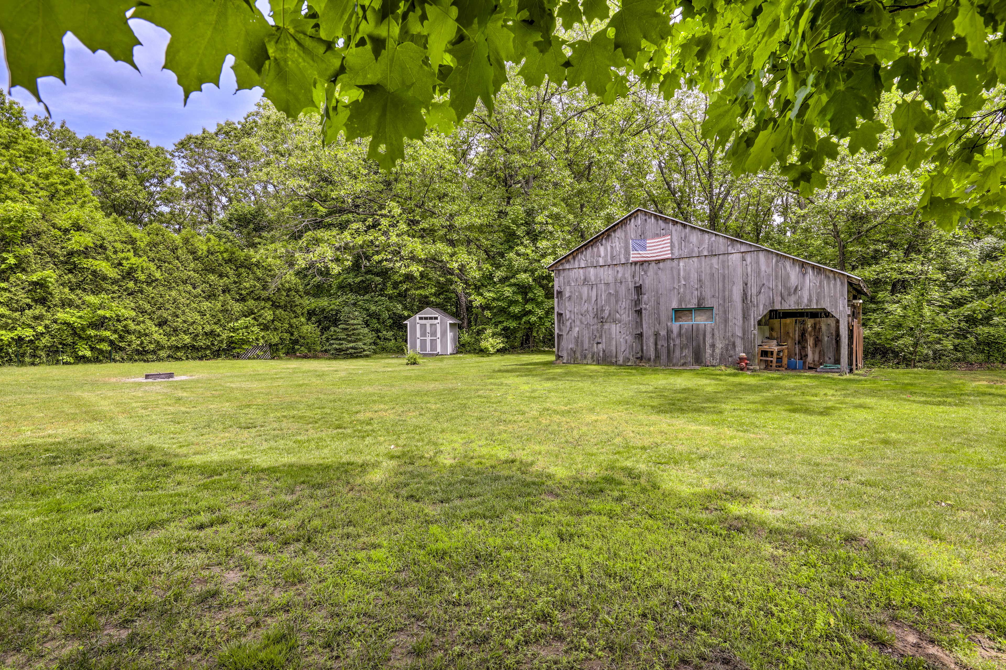 Backyard | Fruit Trees | Fire Pit