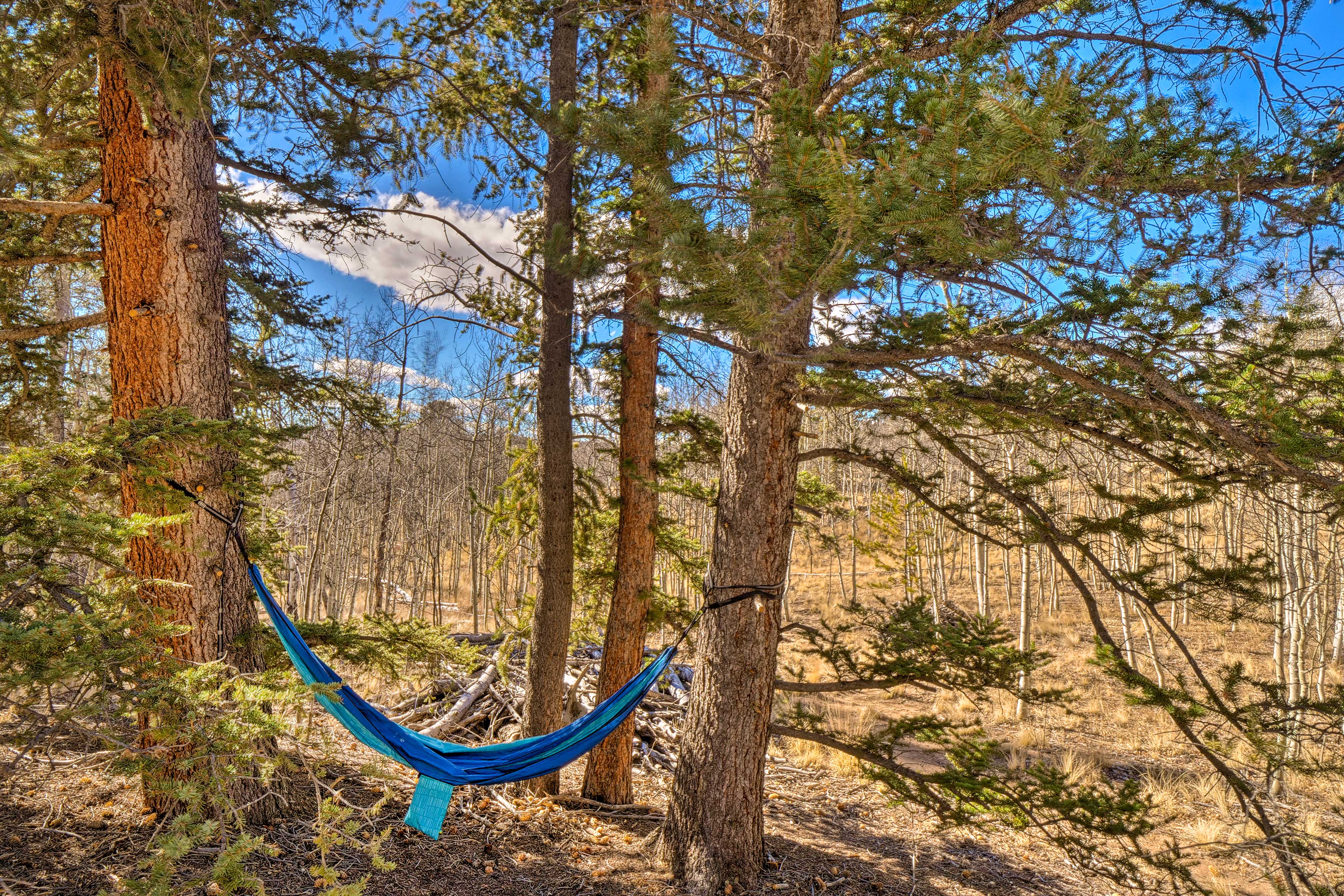 Hammock