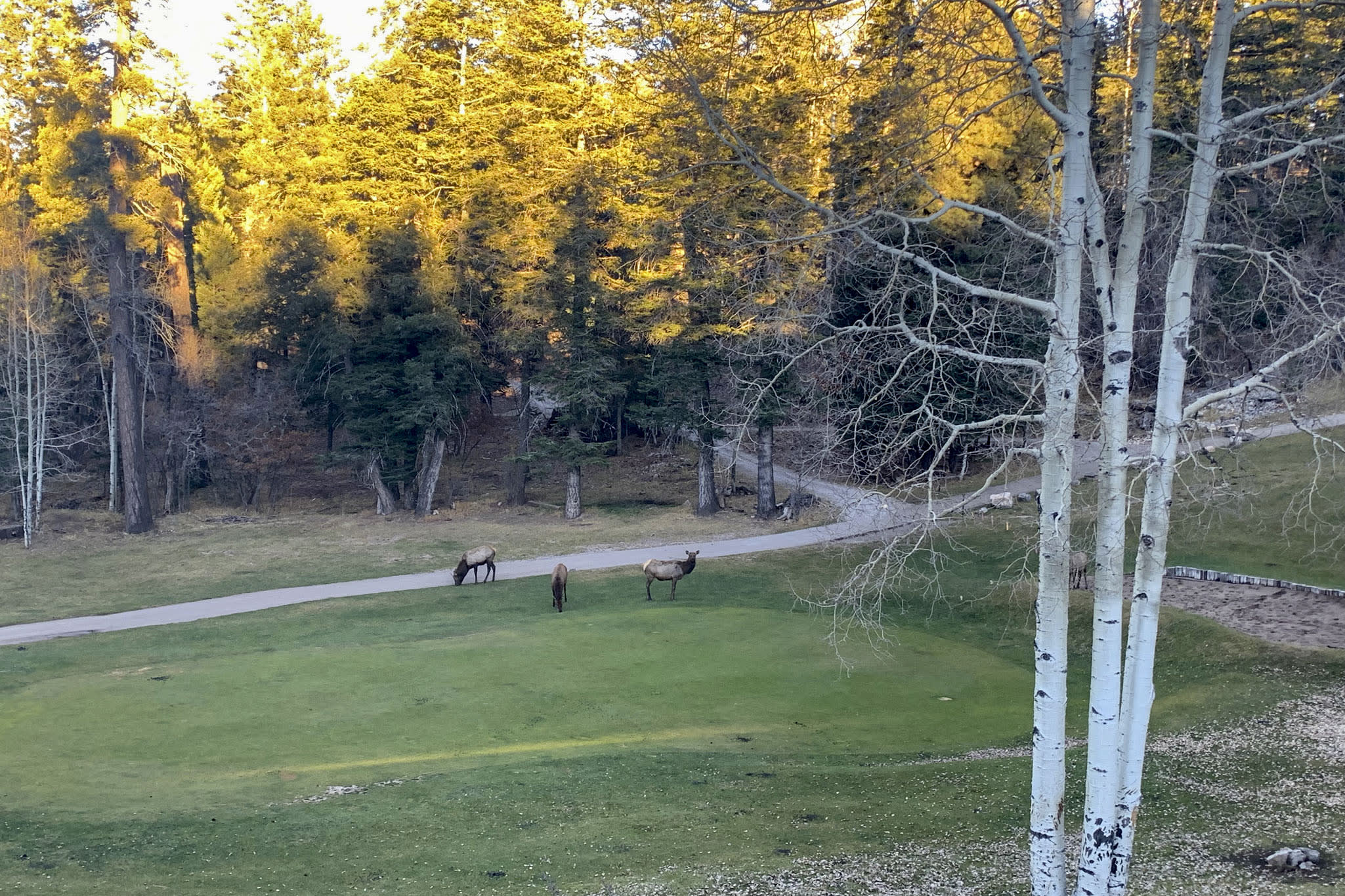 View from Private Deck