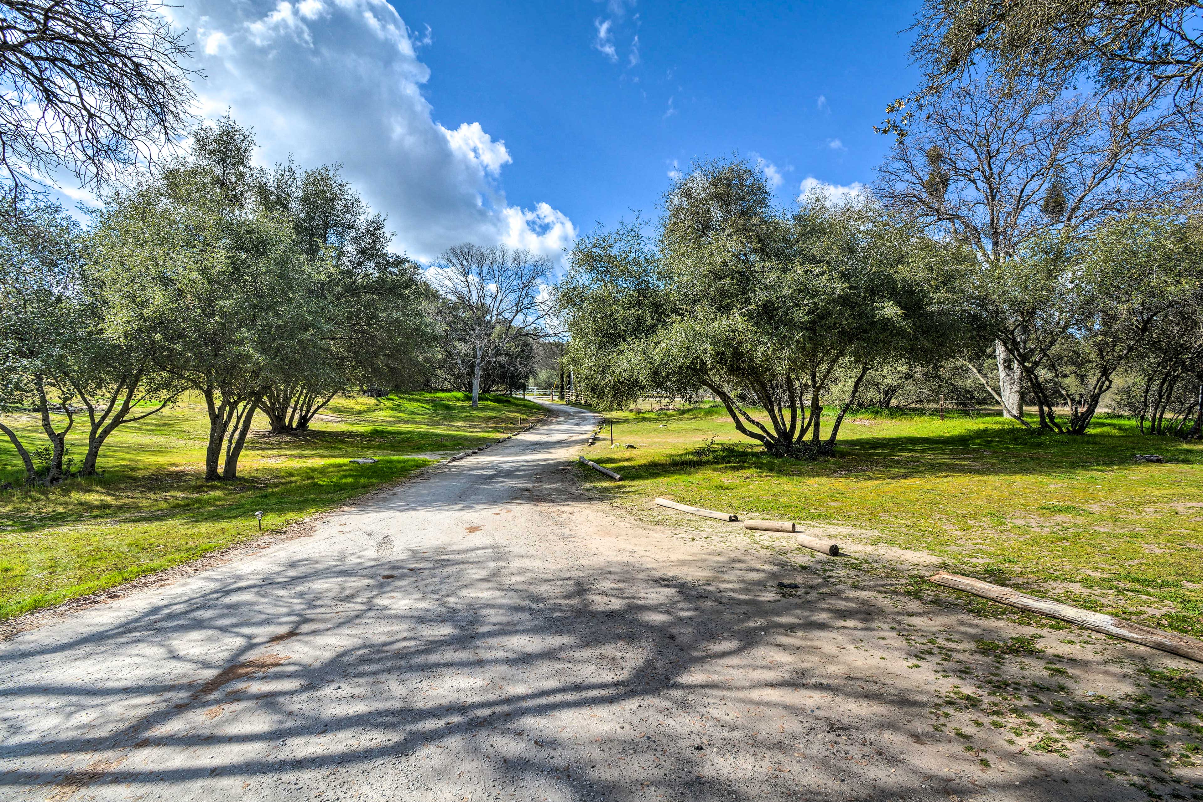 Driveway Parking (1 Vehicle)