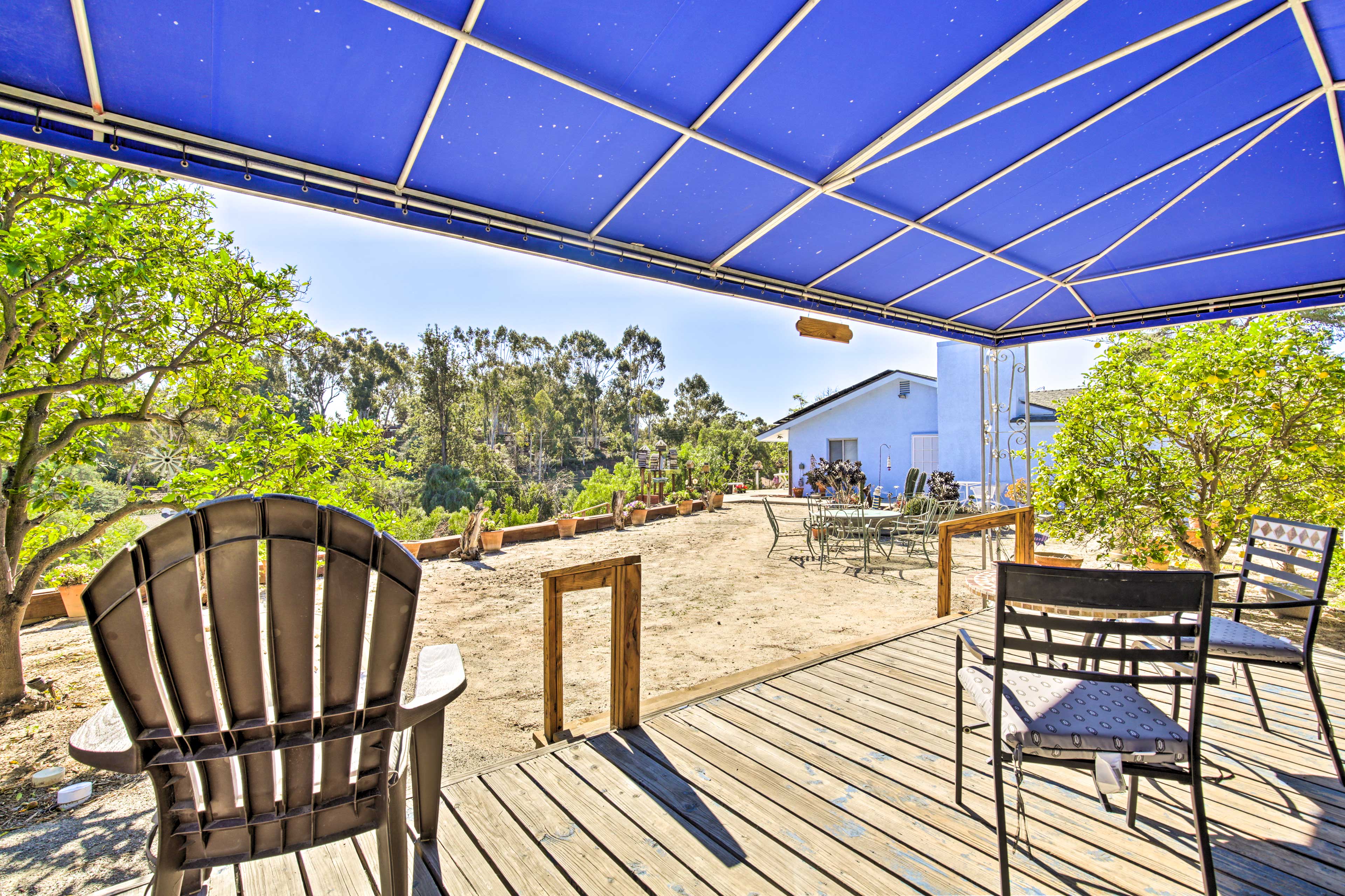 Shared Outdoor Kitchen