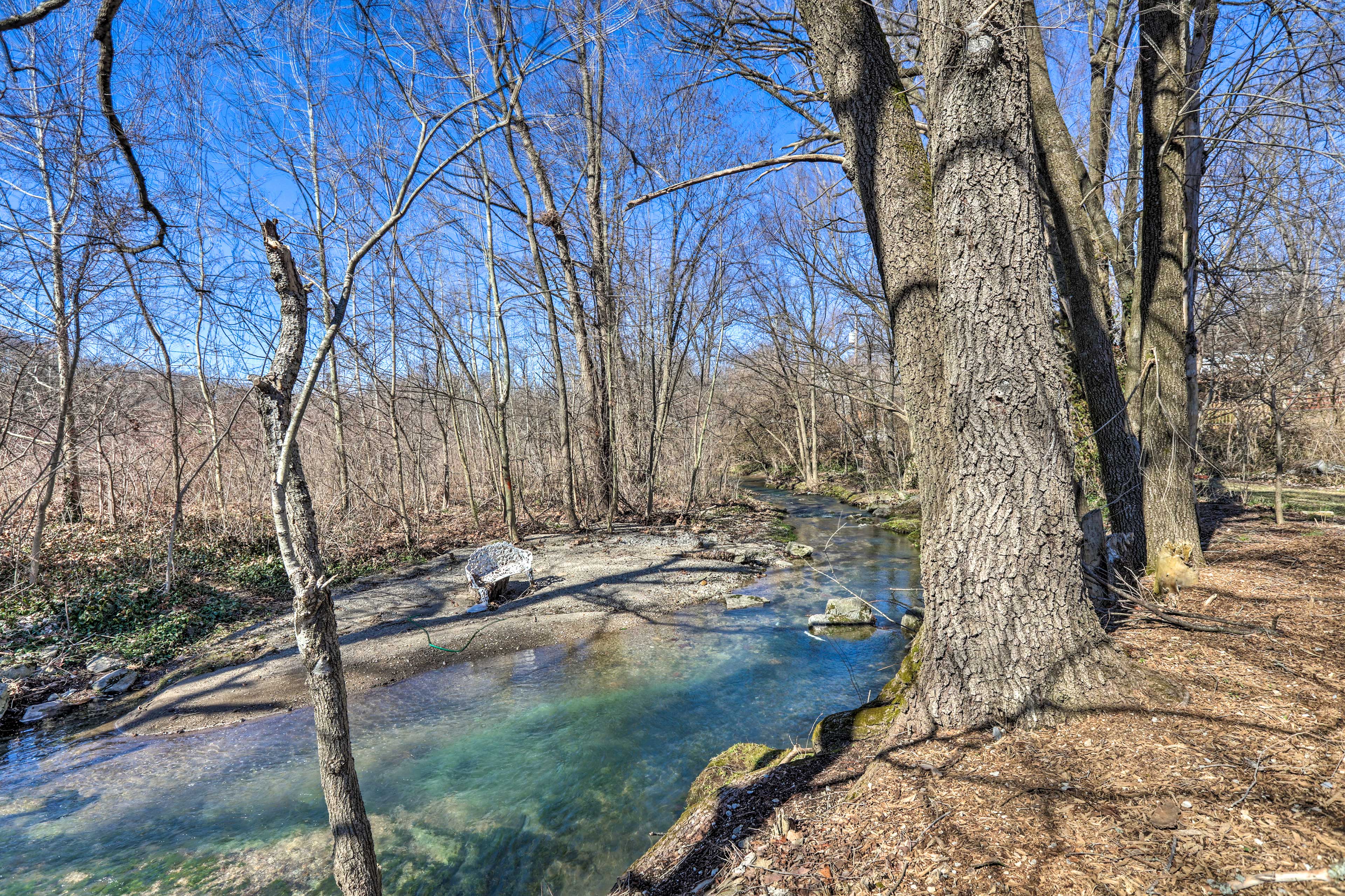 Direct Wolf Run Creek Access