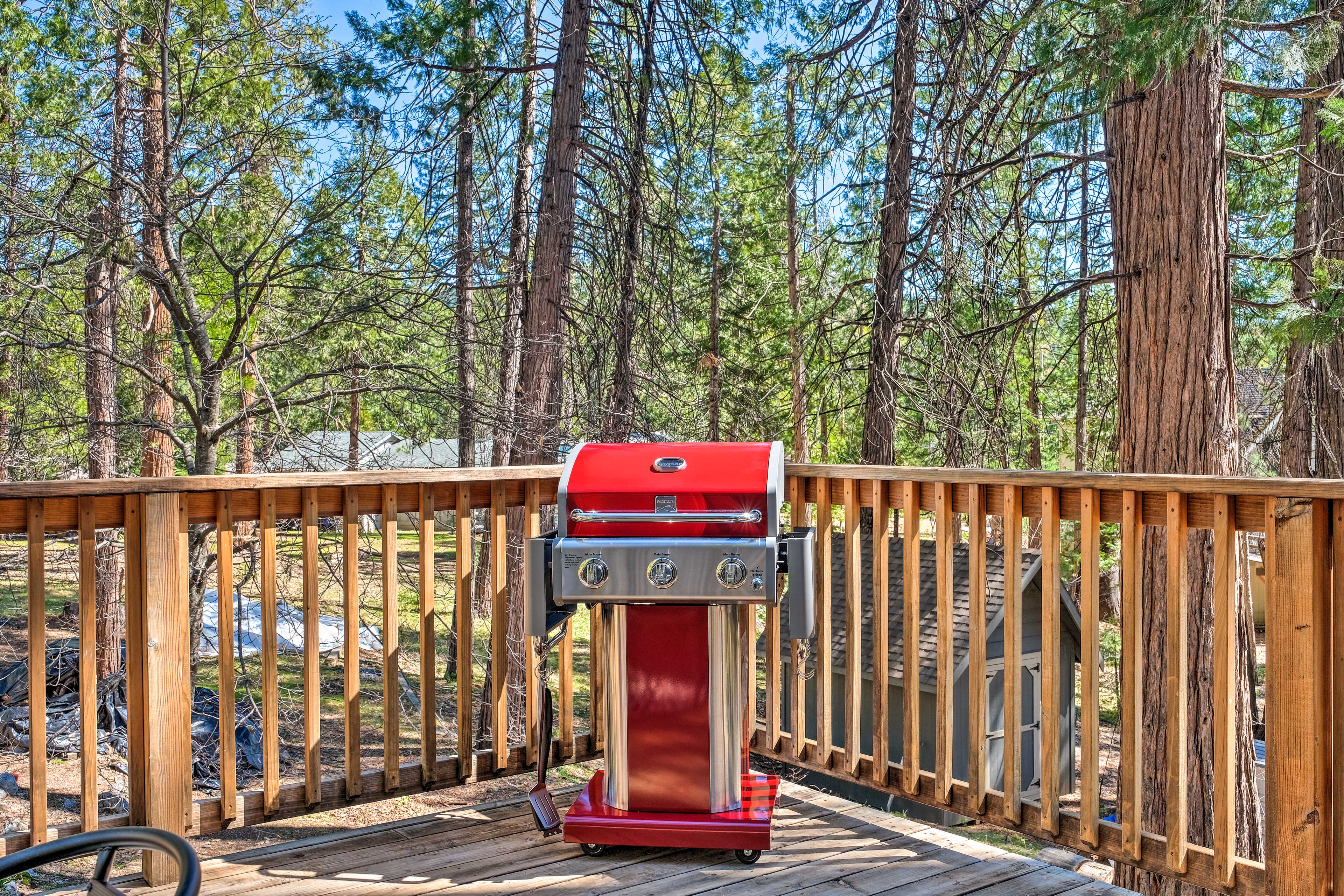 Deck | Gas Grill