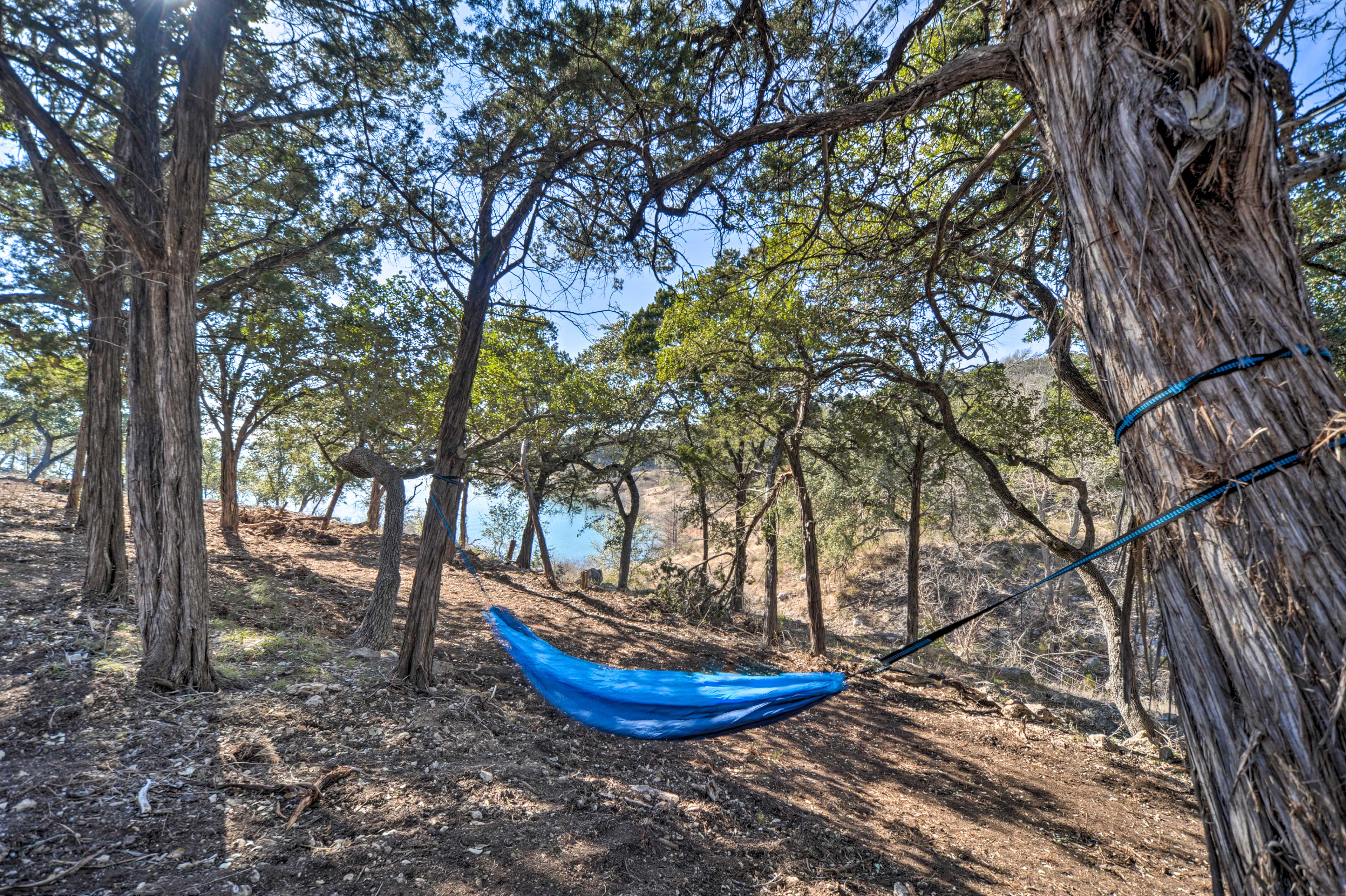 Hammock