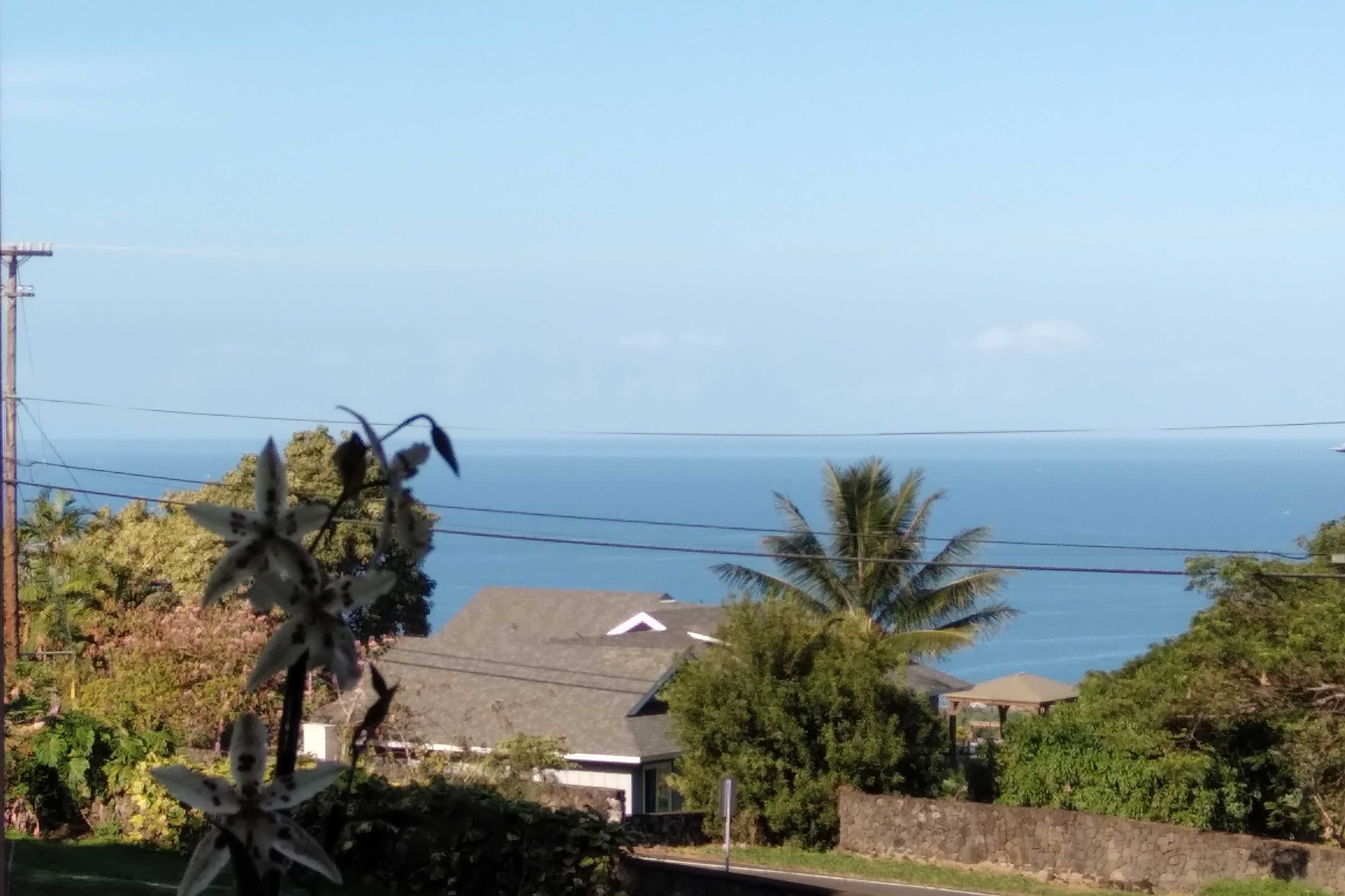 Ocean View From Property