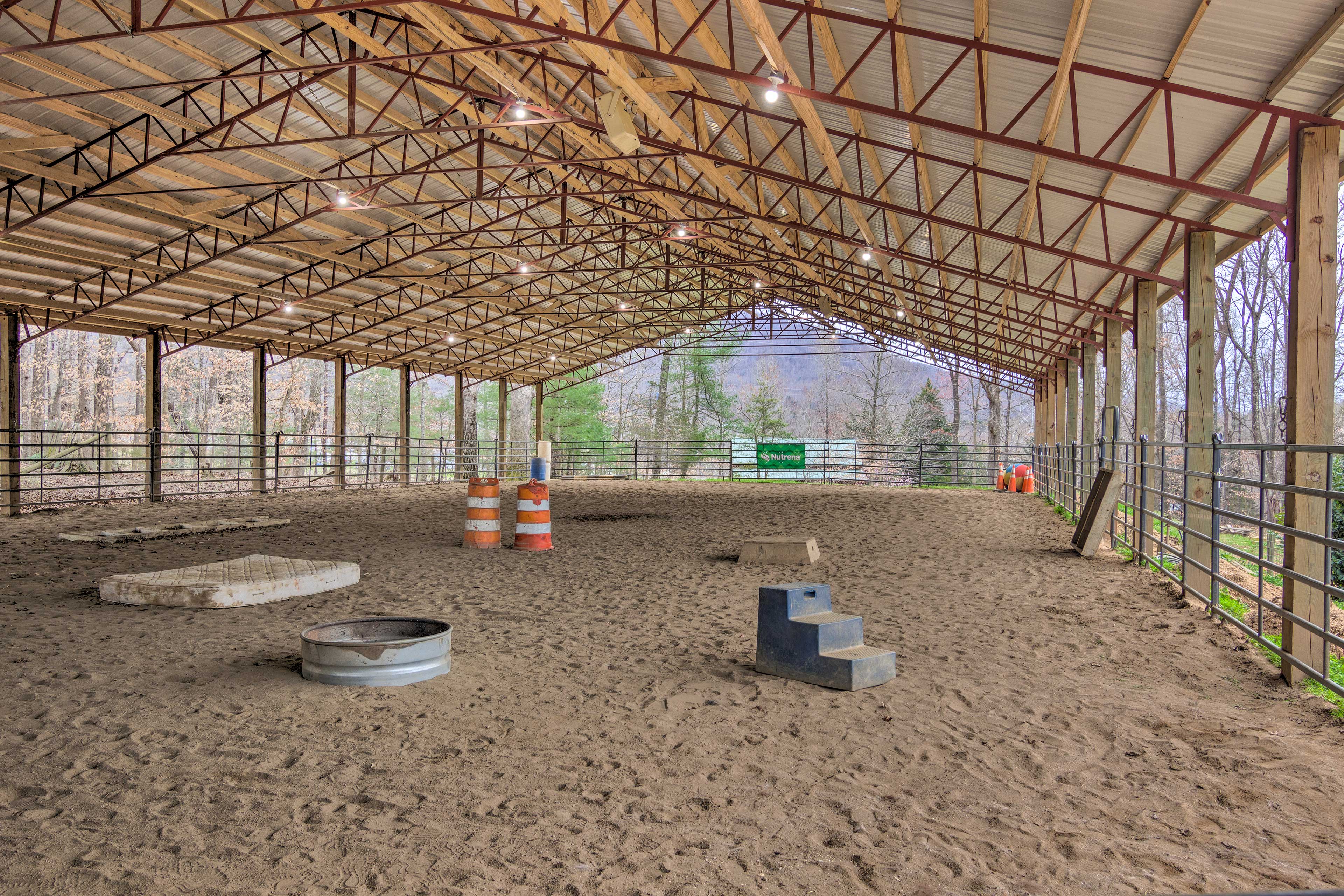 Working Horse Farm | Equine Animals On-Site