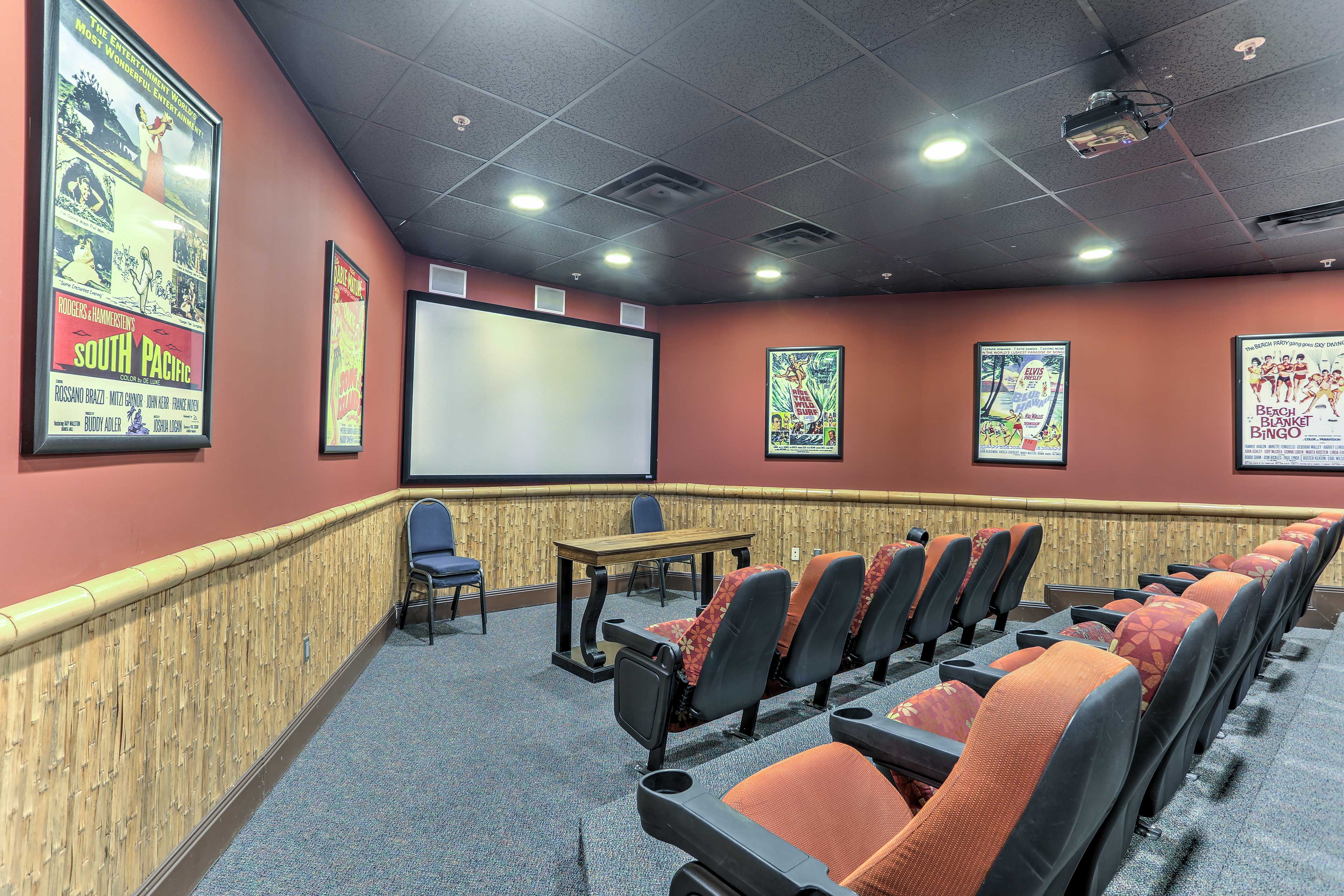 Community Theater Room