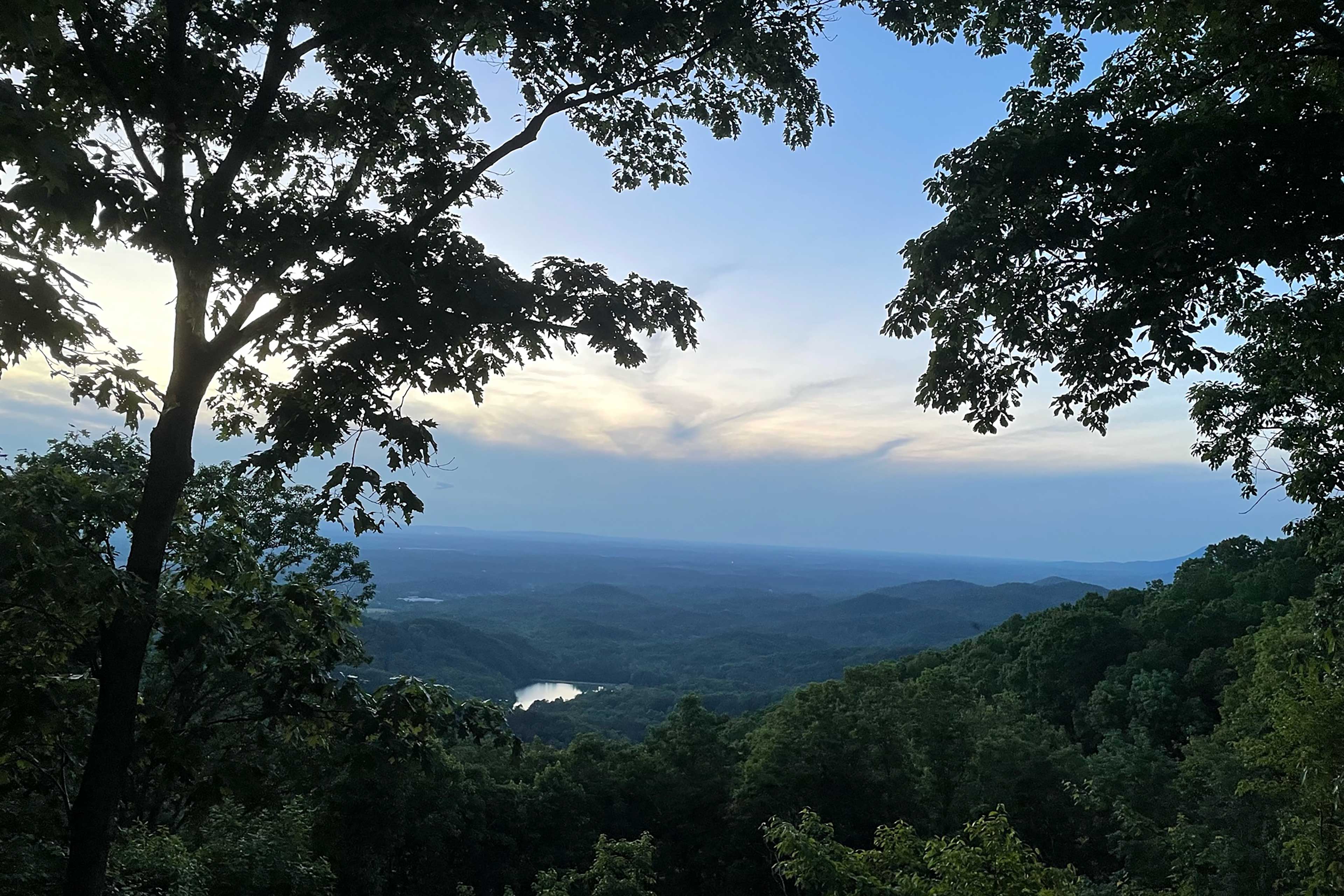 Deck Views